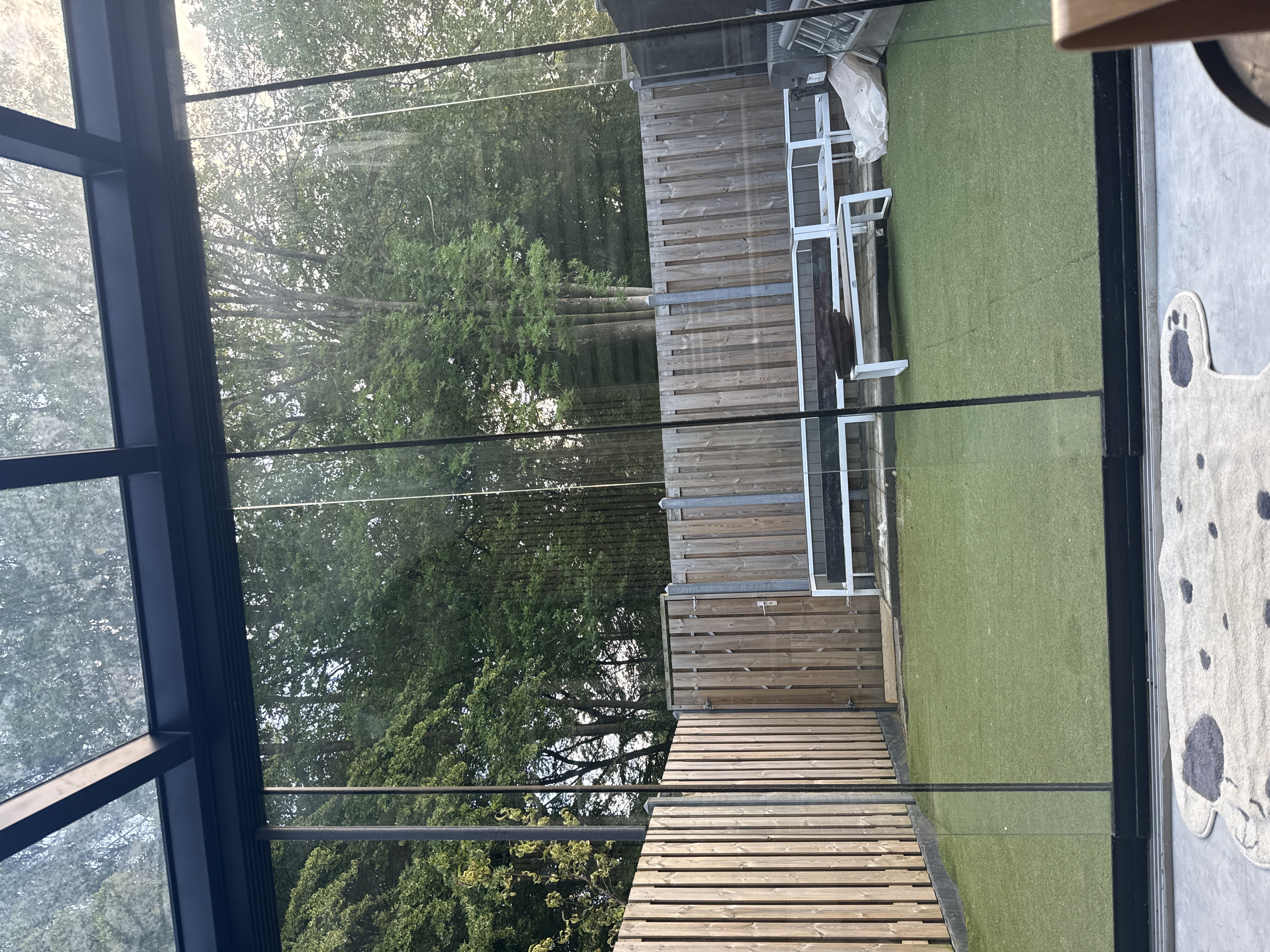 image-20