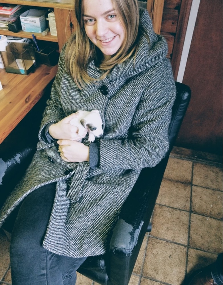 image-1