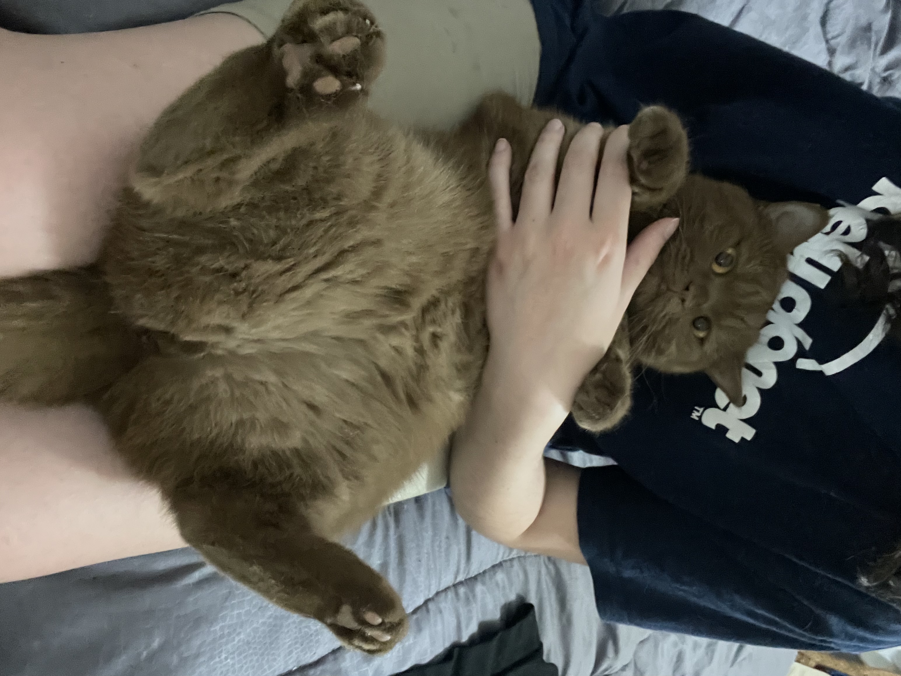 image-8