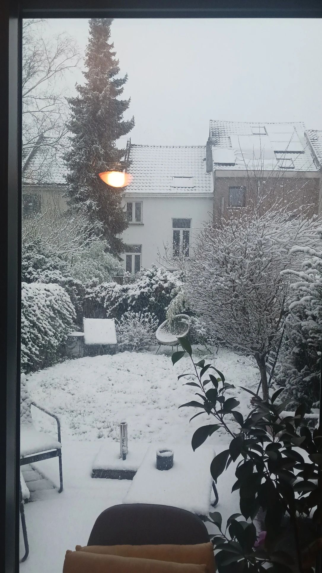 image-8
