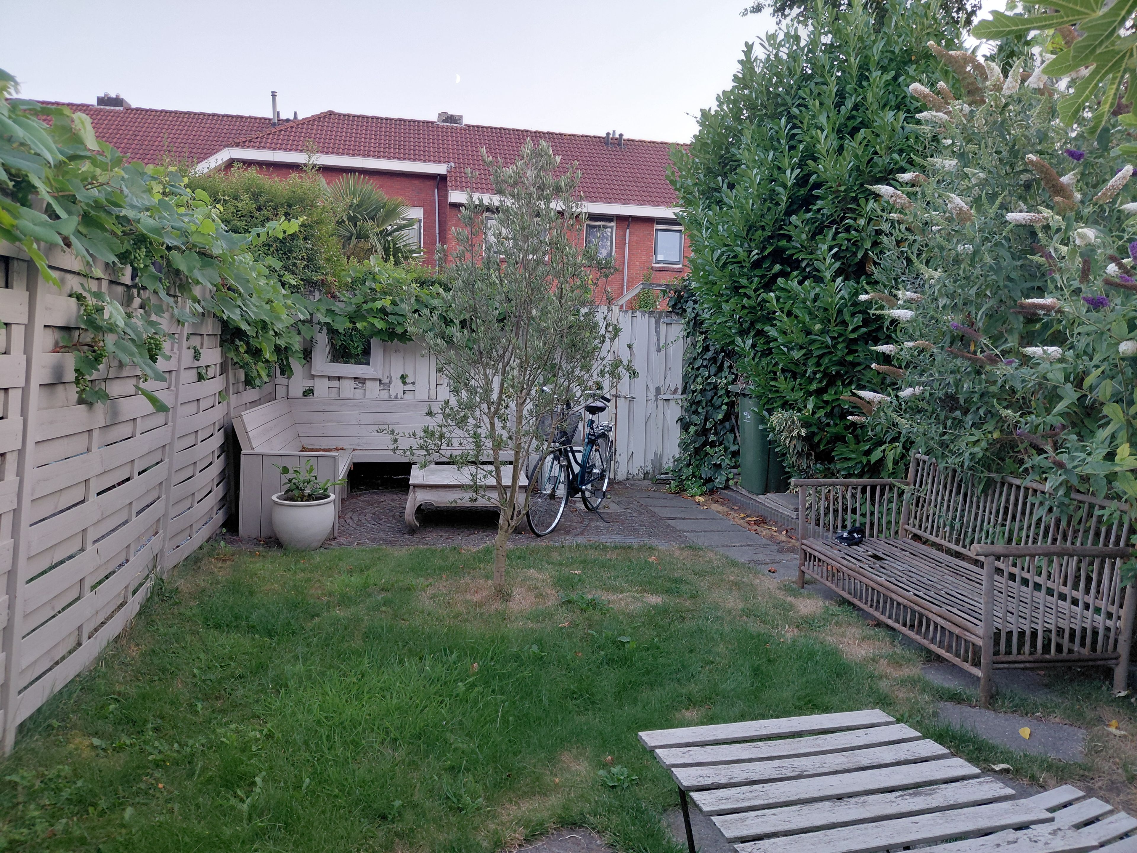 image-8