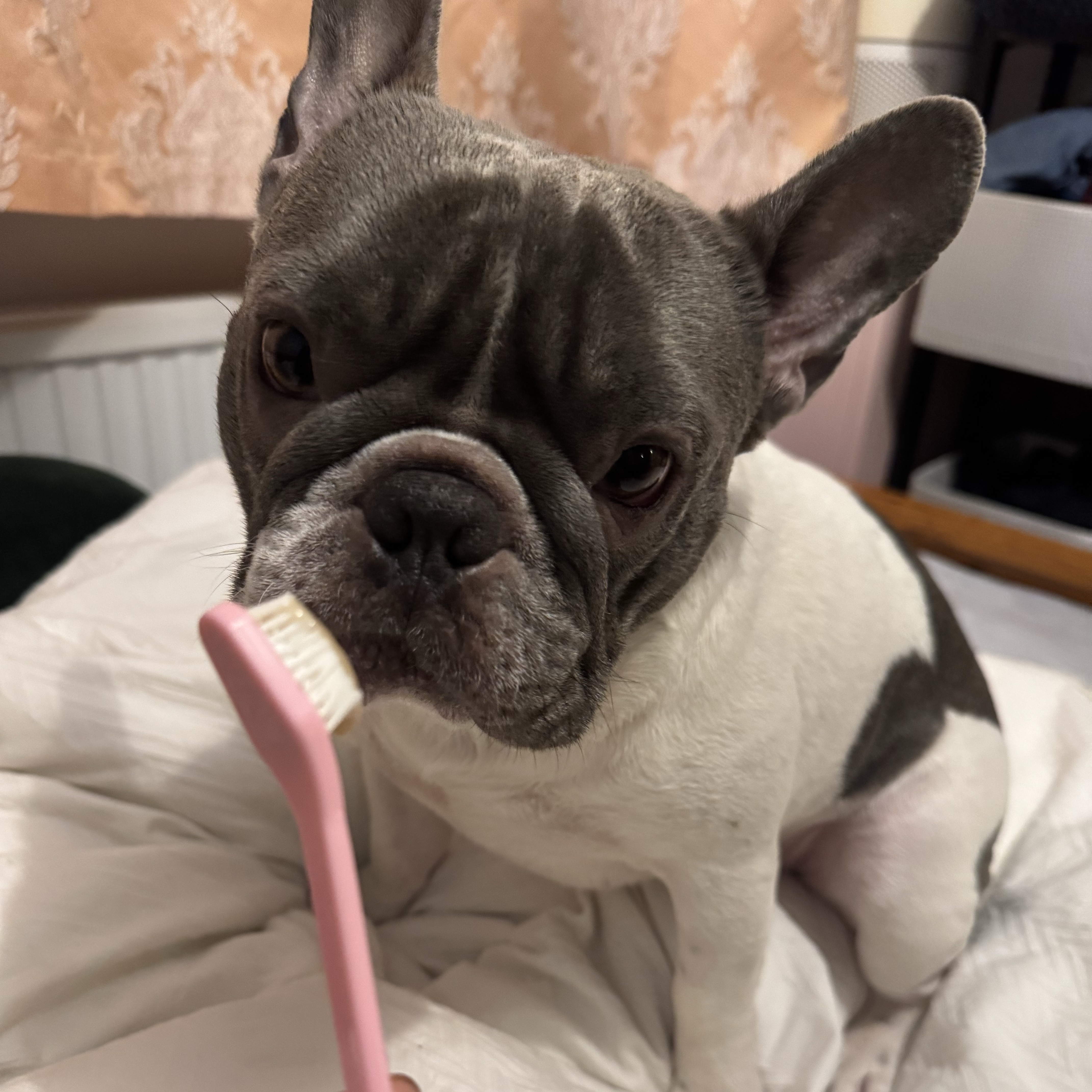 Hugo