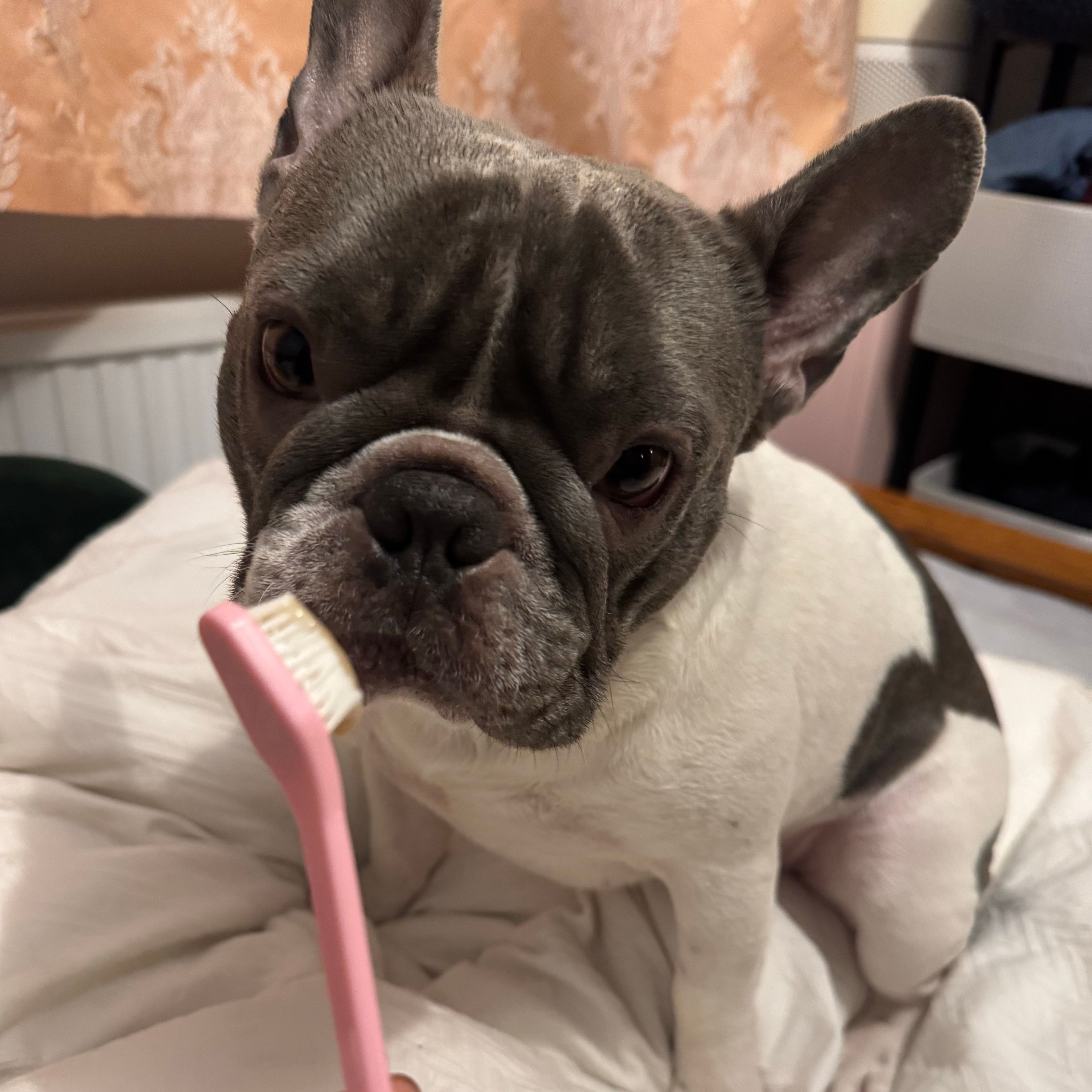 Hugo