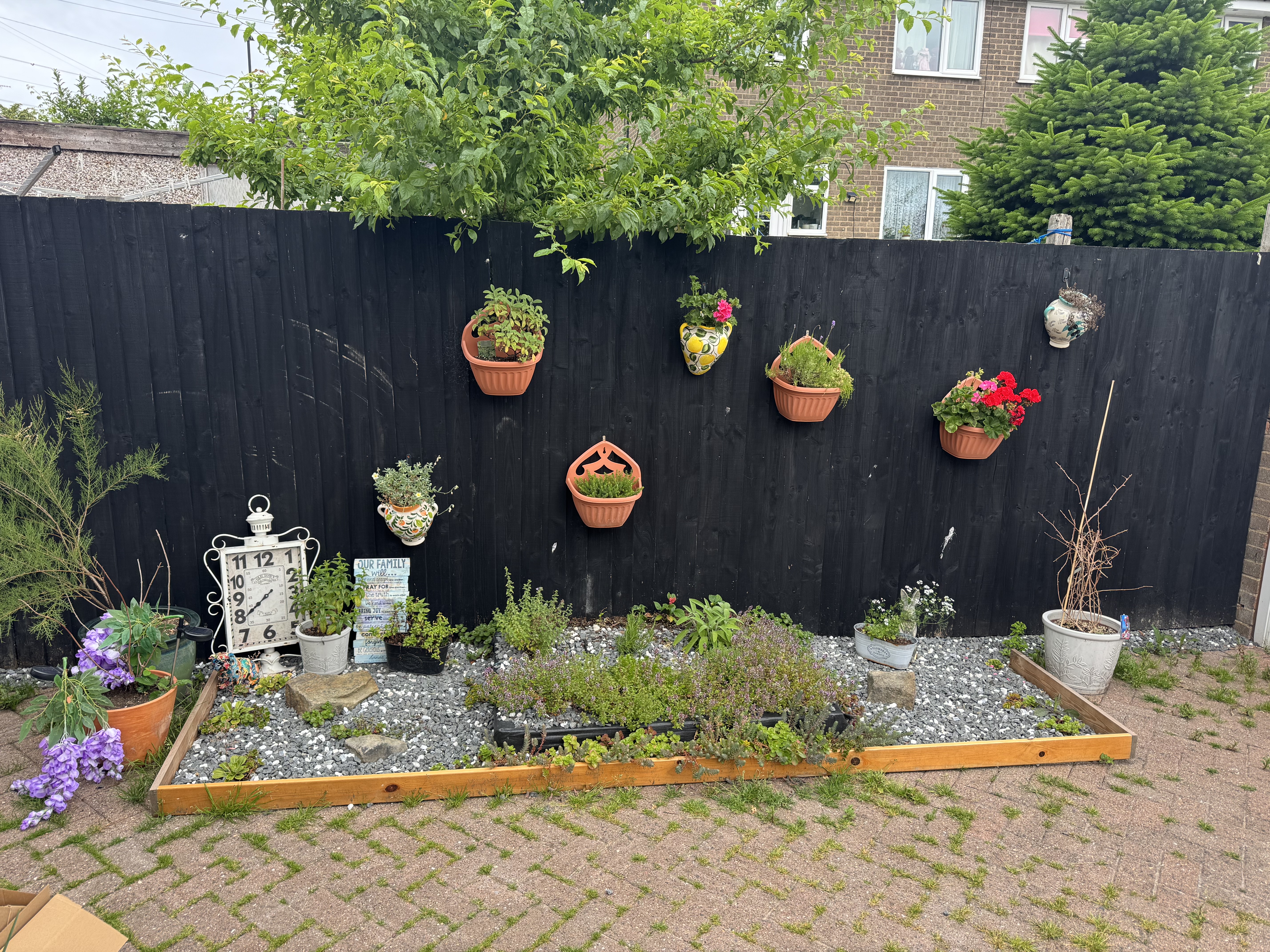 image-24