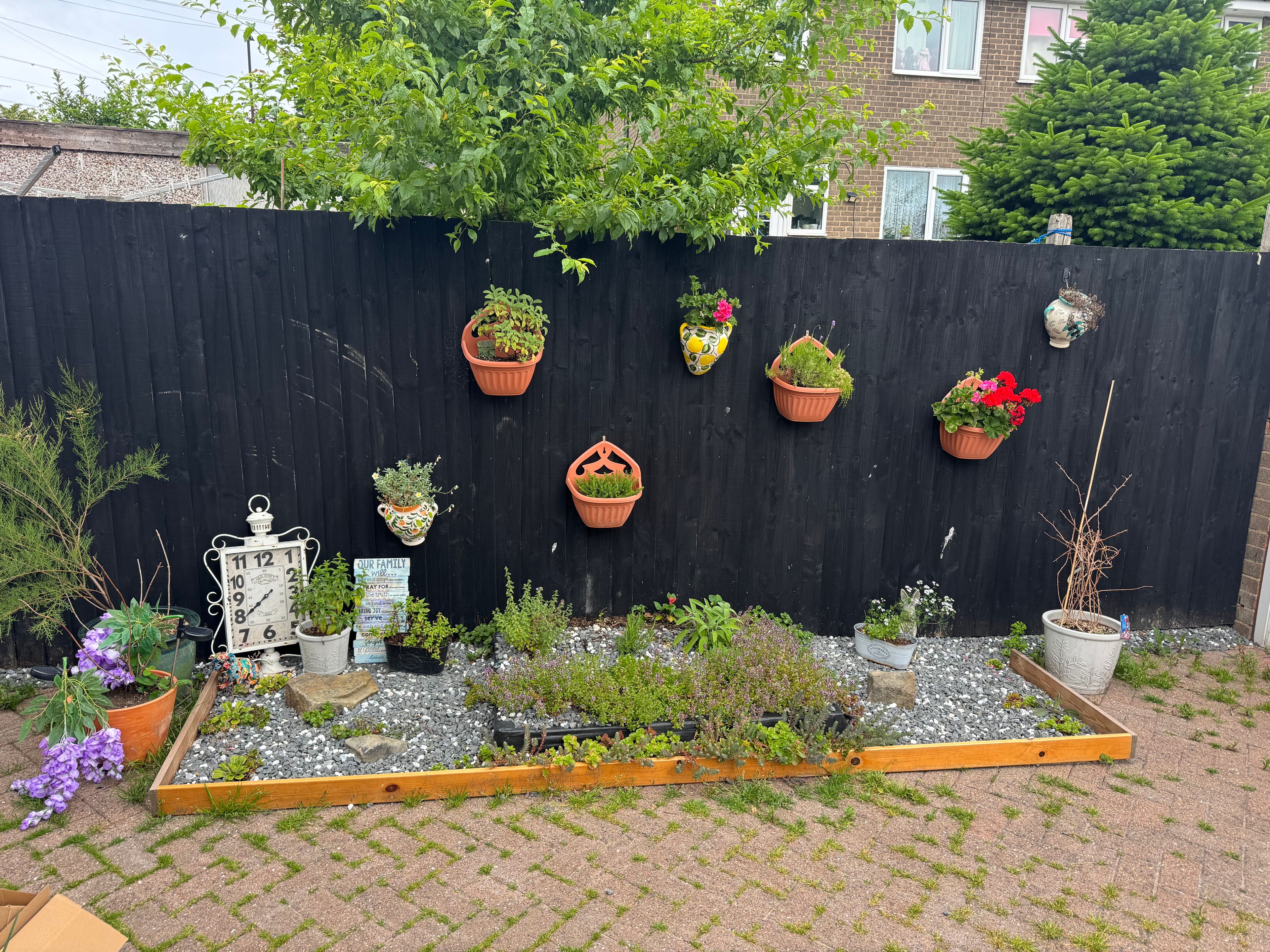 image-24