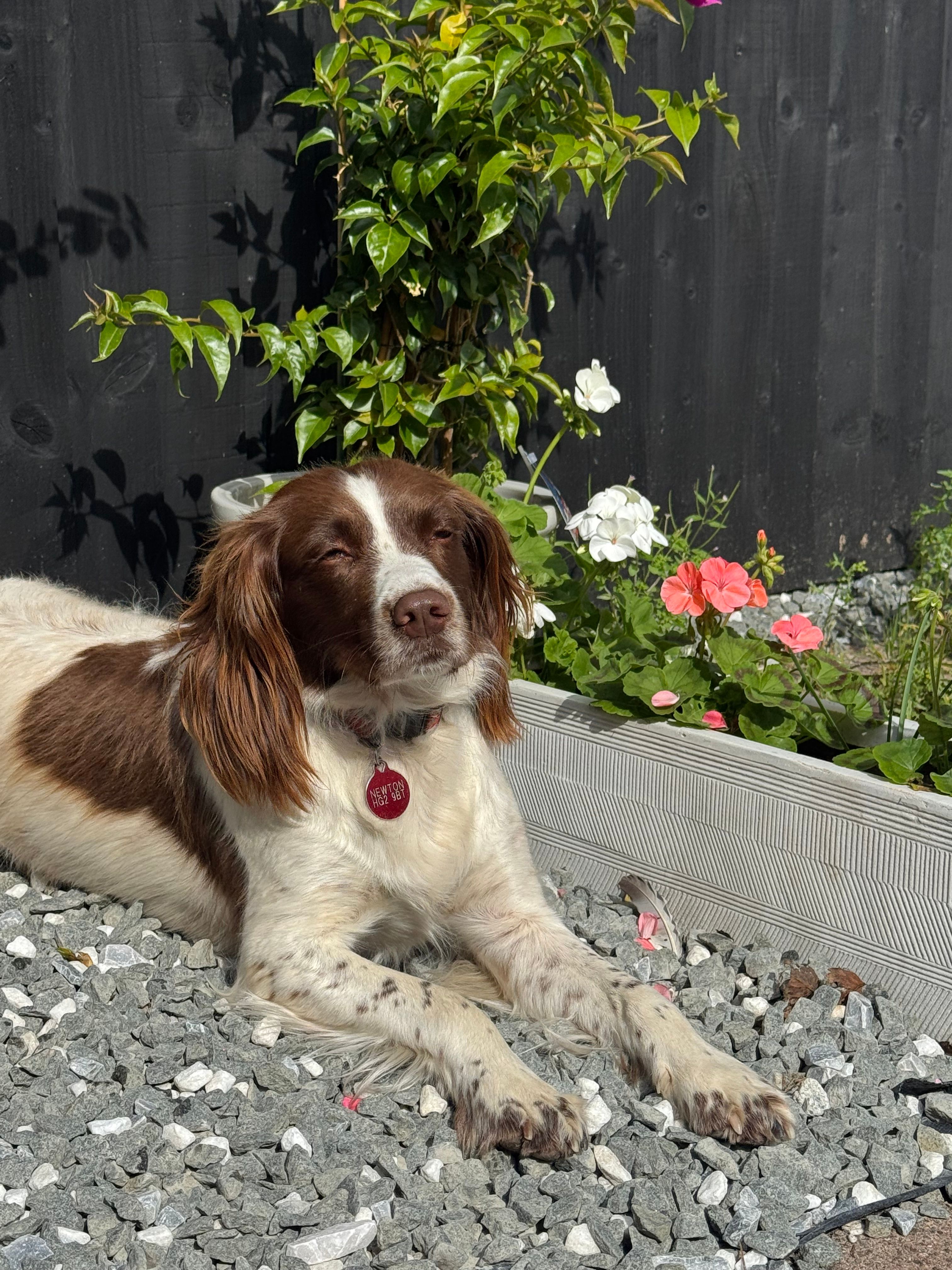 image-14