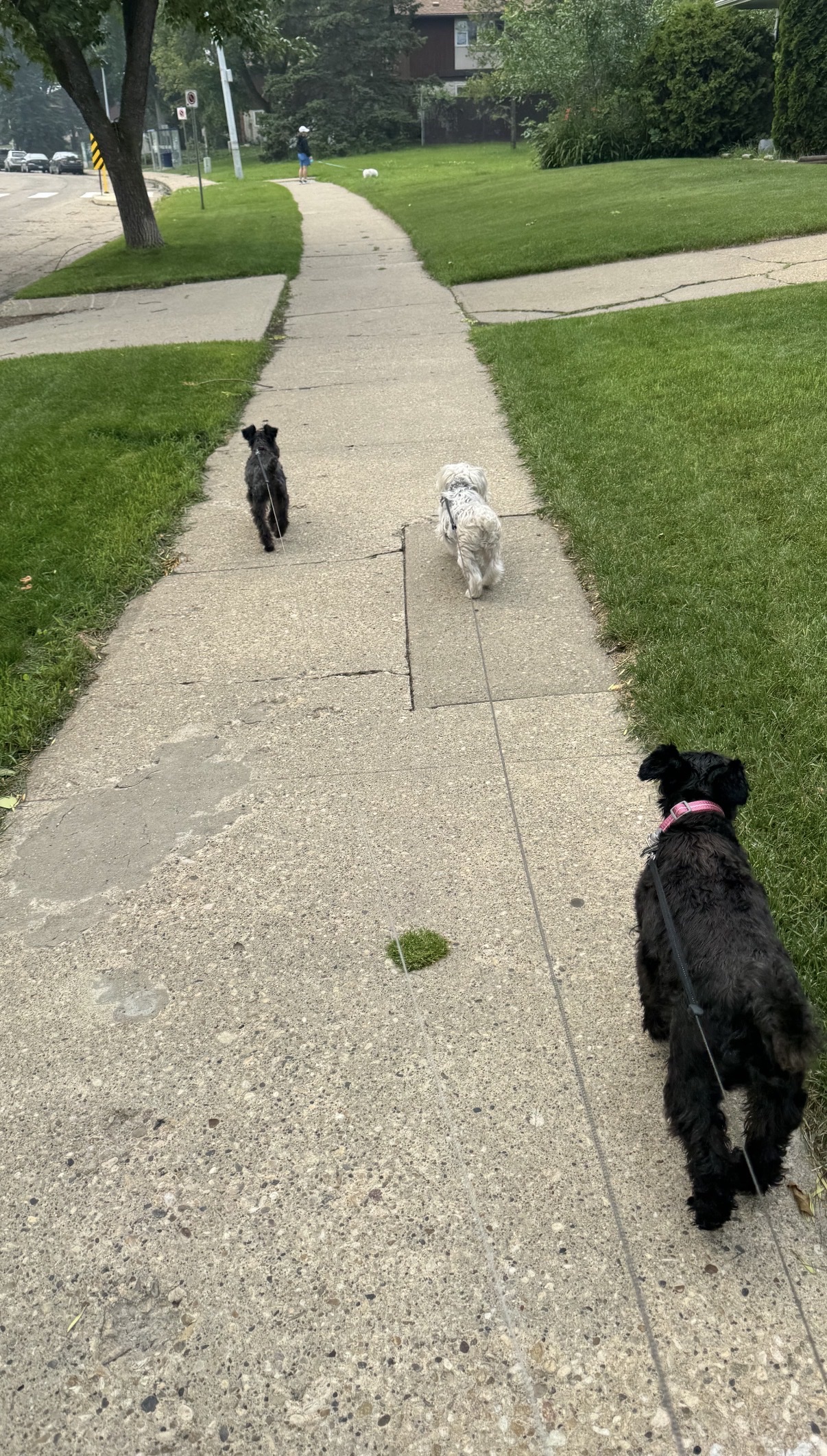 image-18