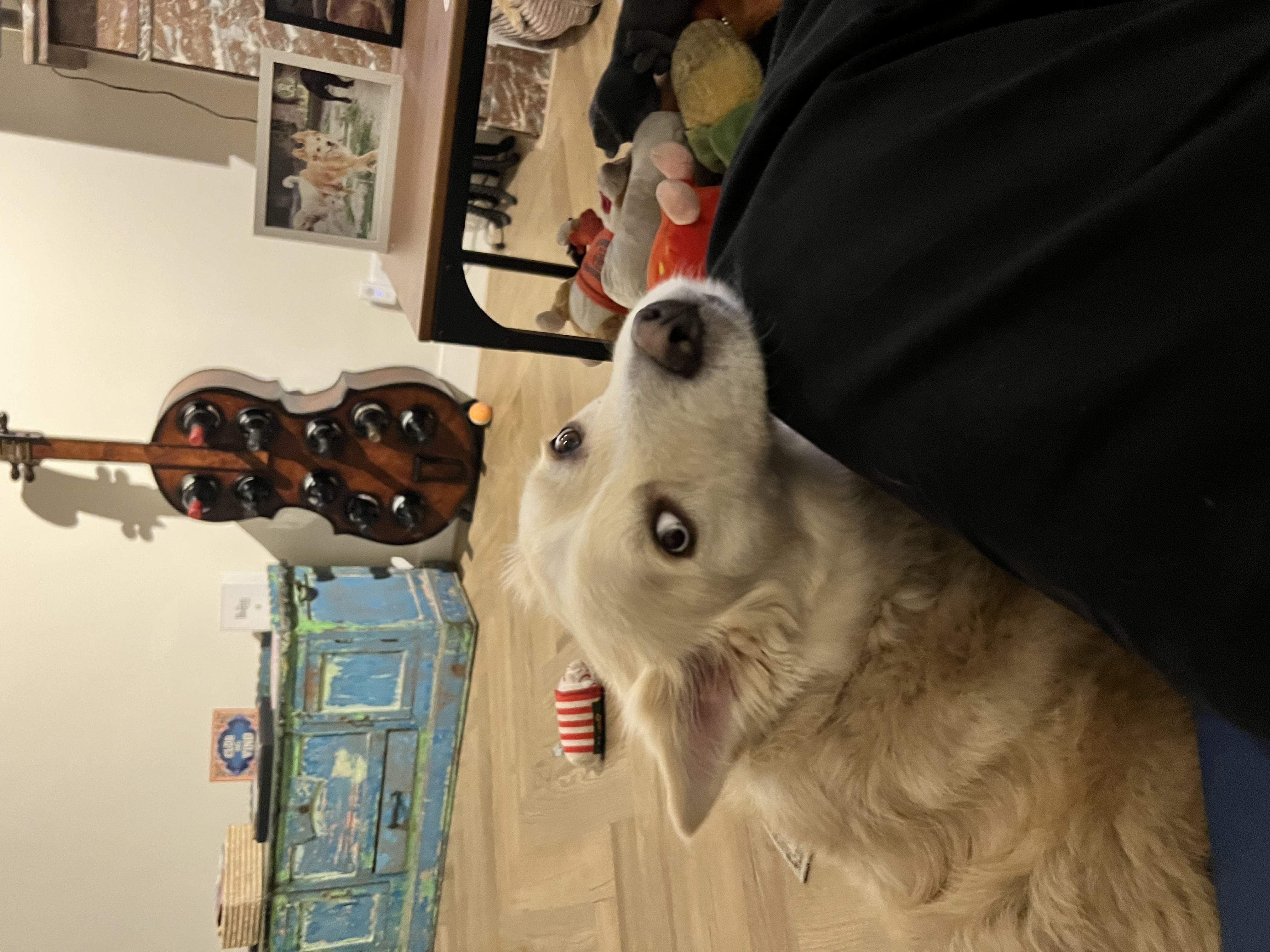 image-26