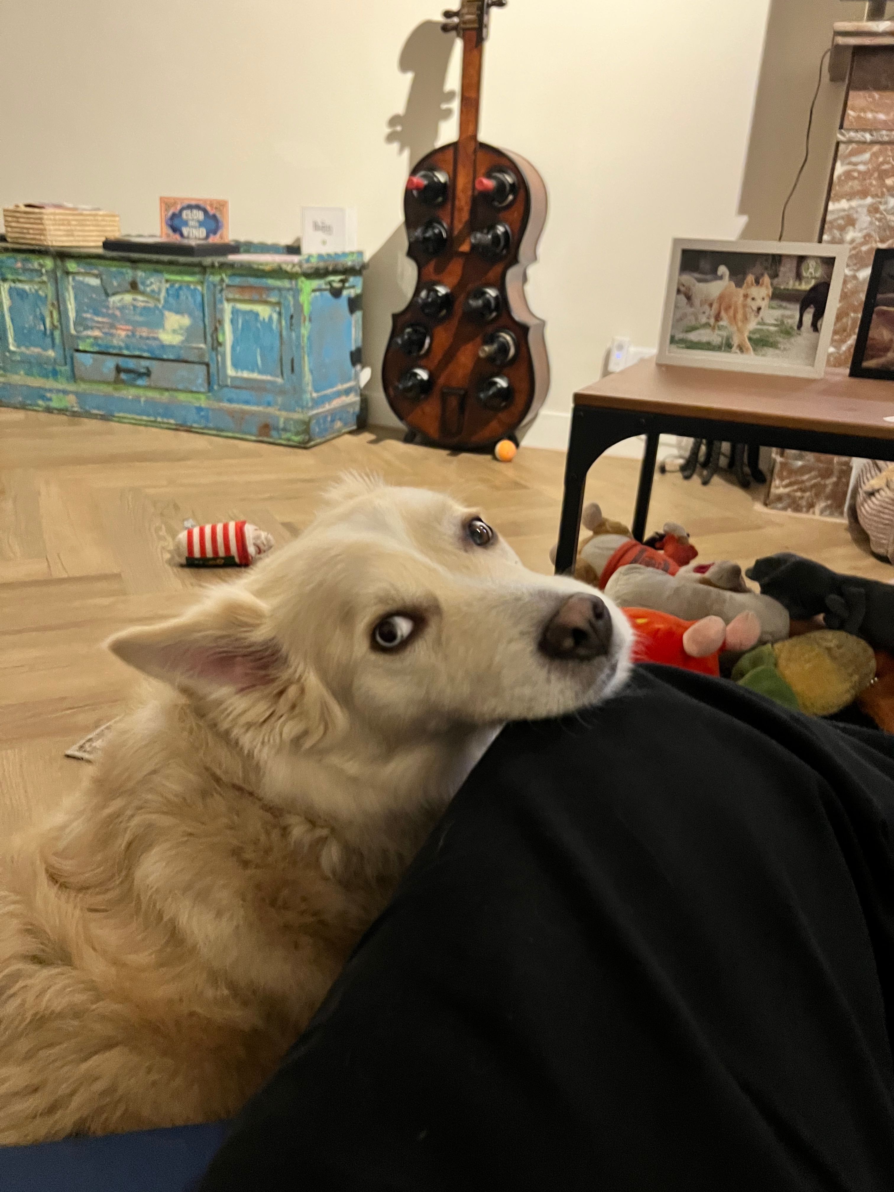 image-26