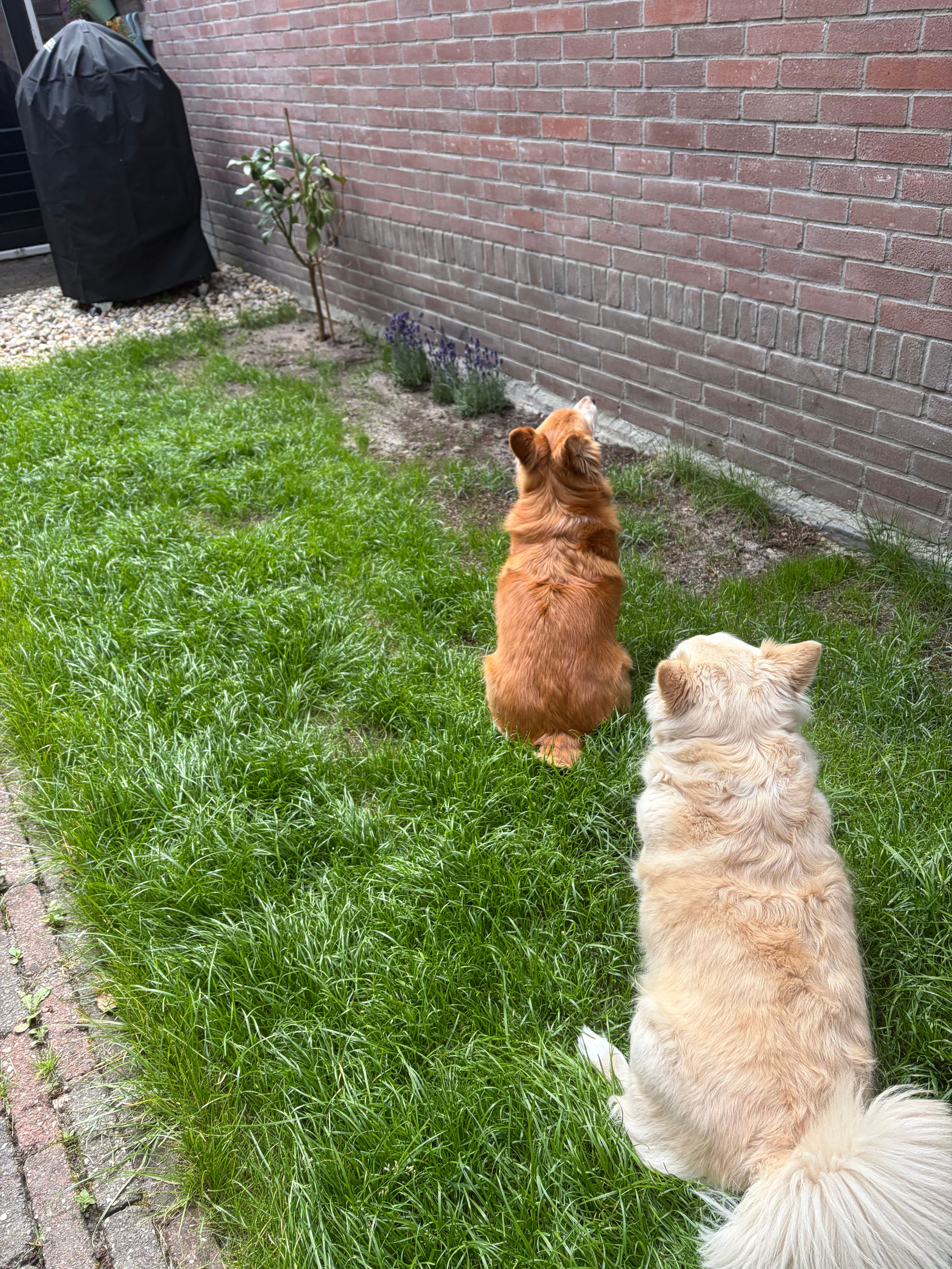 image-22