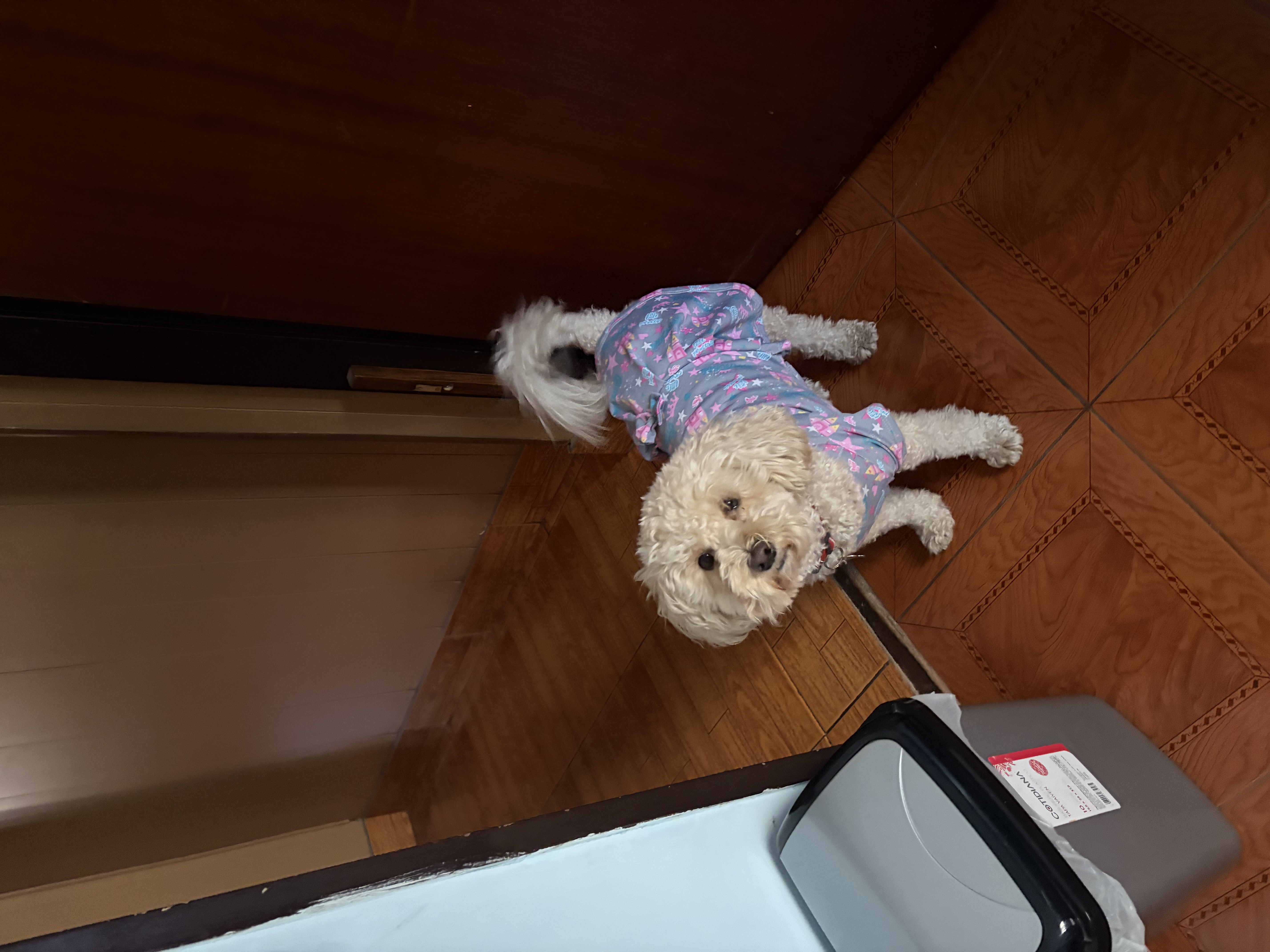 image-16