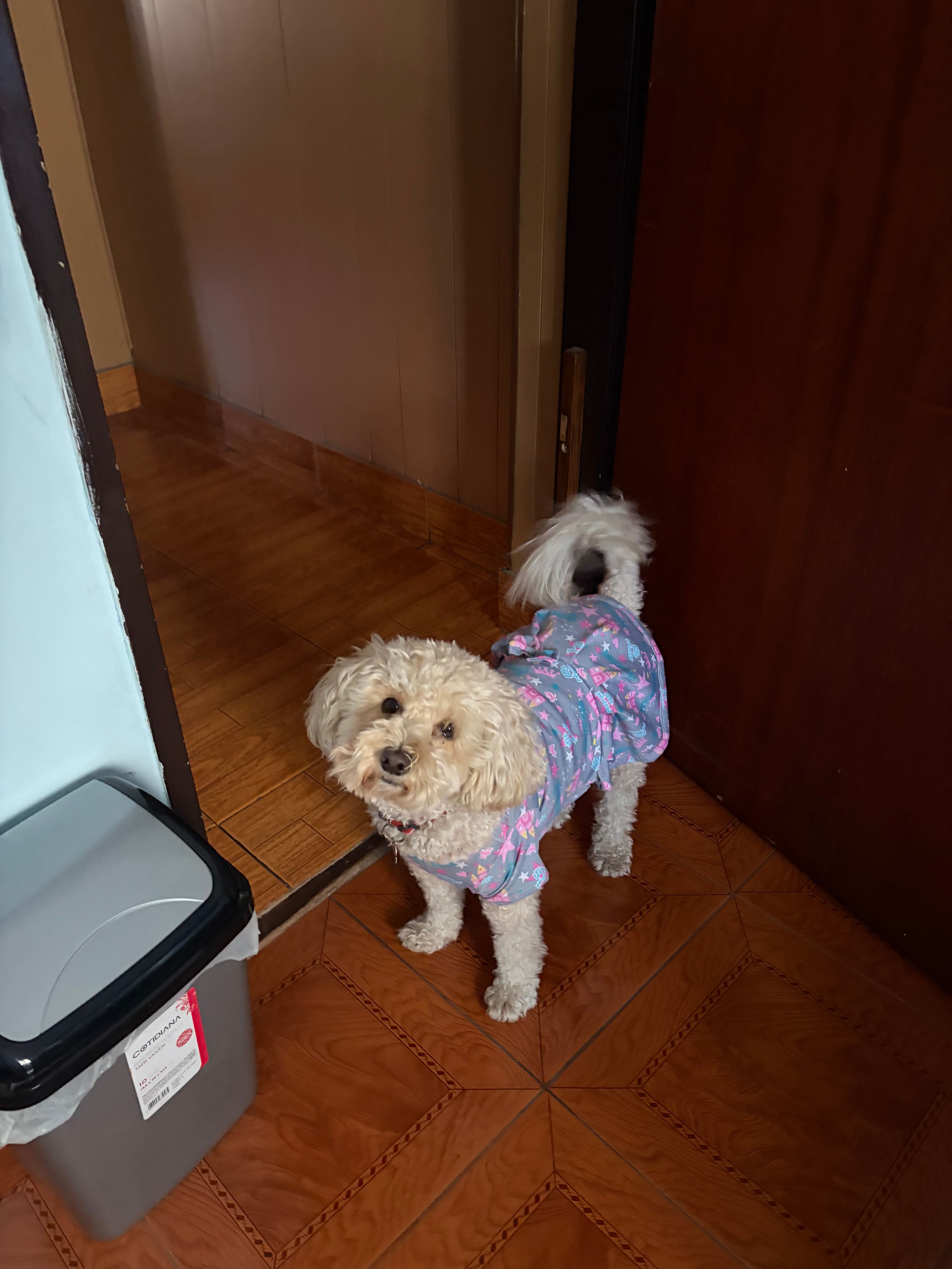 image-16