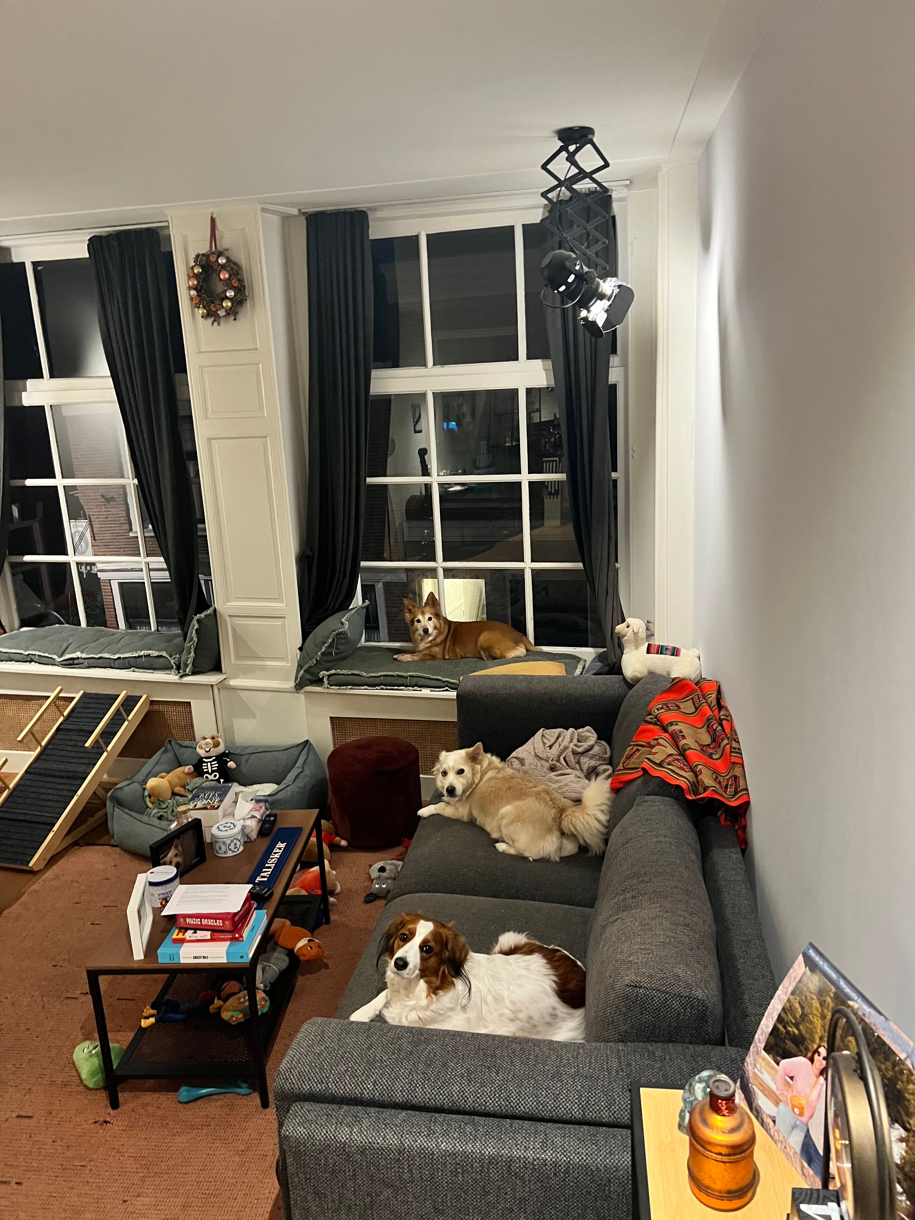 image-21