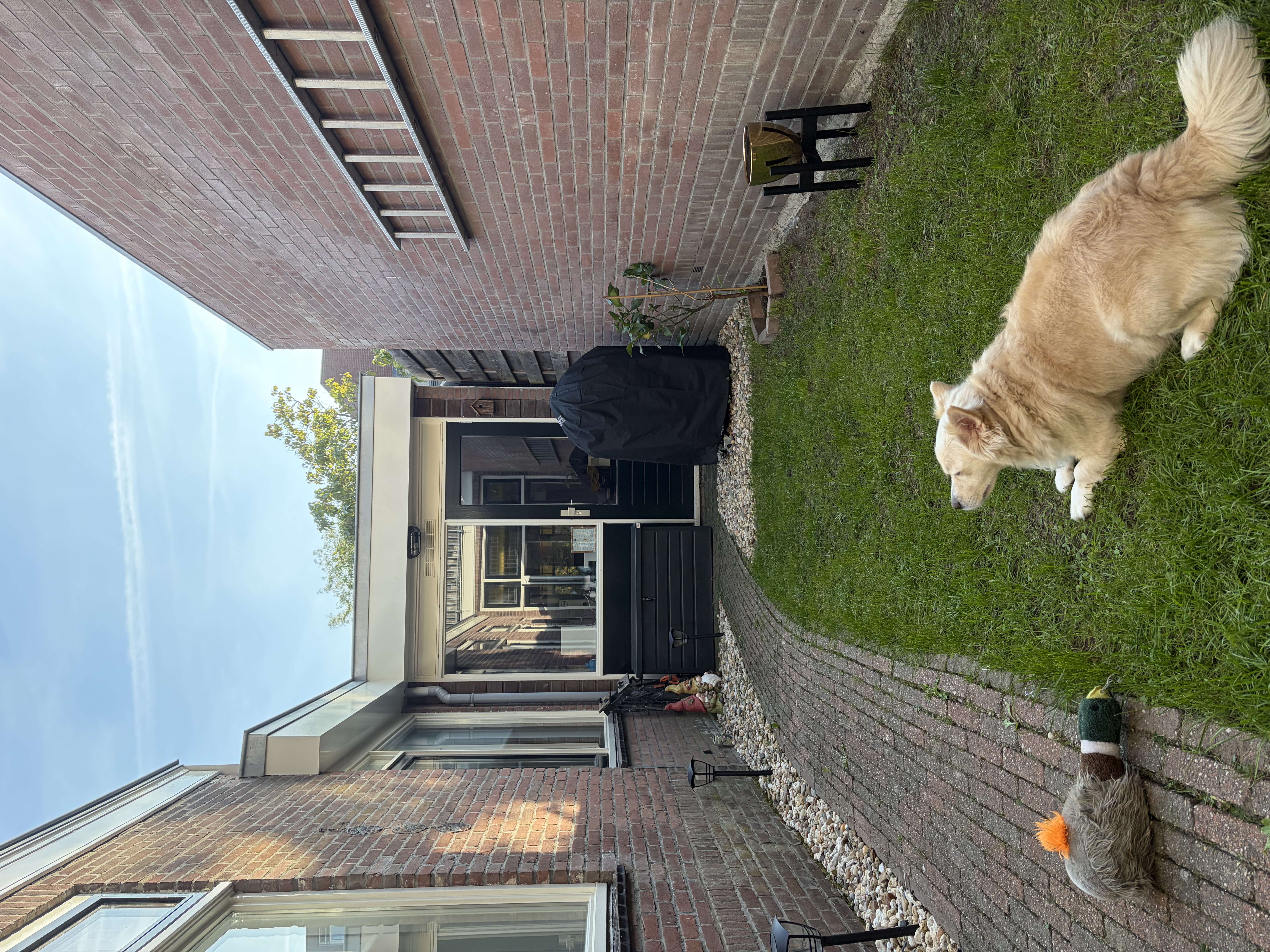 image-23
