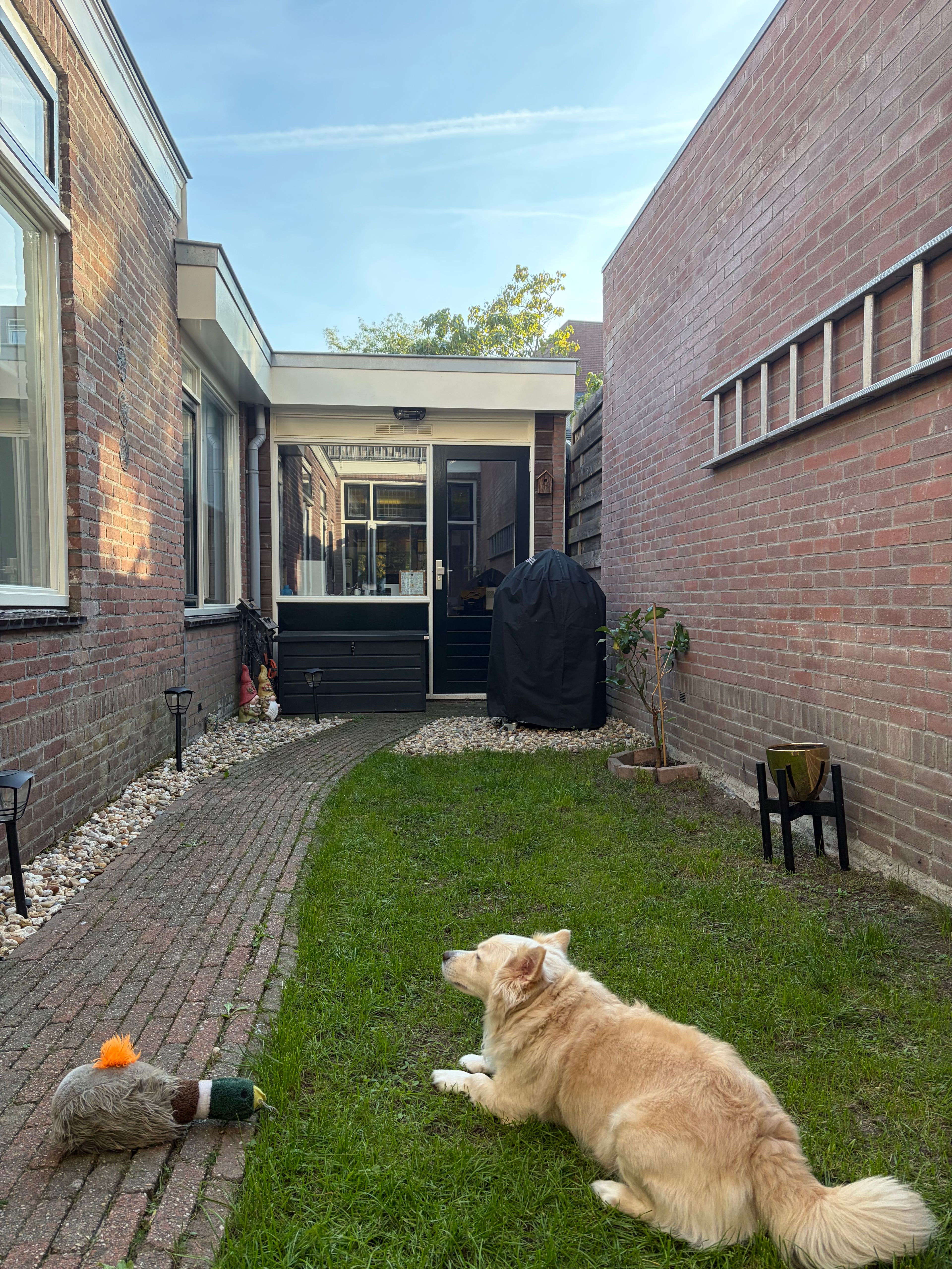 image-23