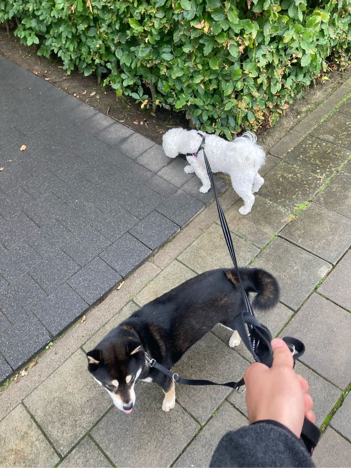 image-11