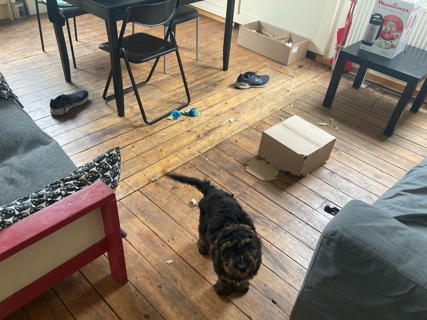 image-5