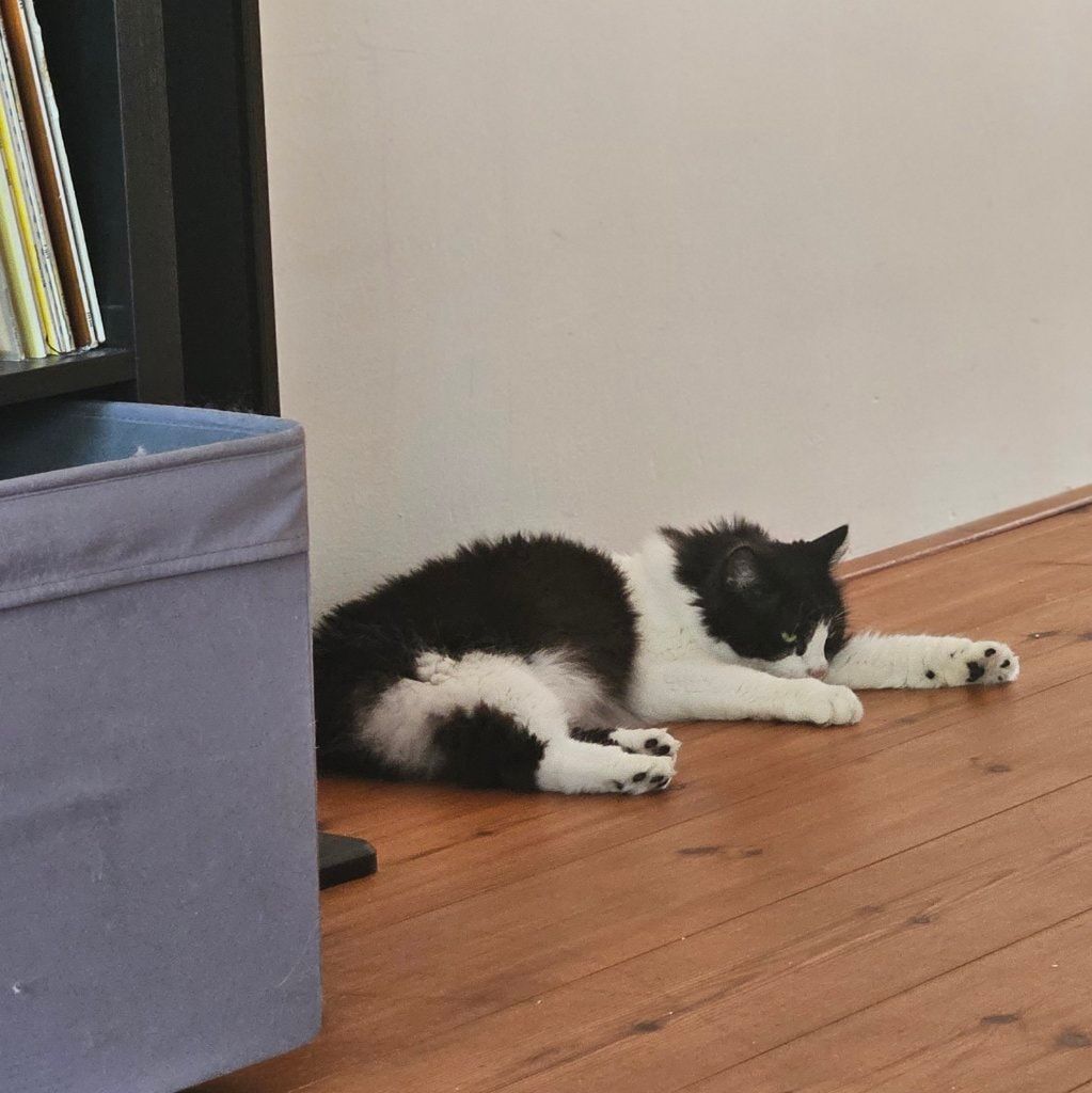 image-16