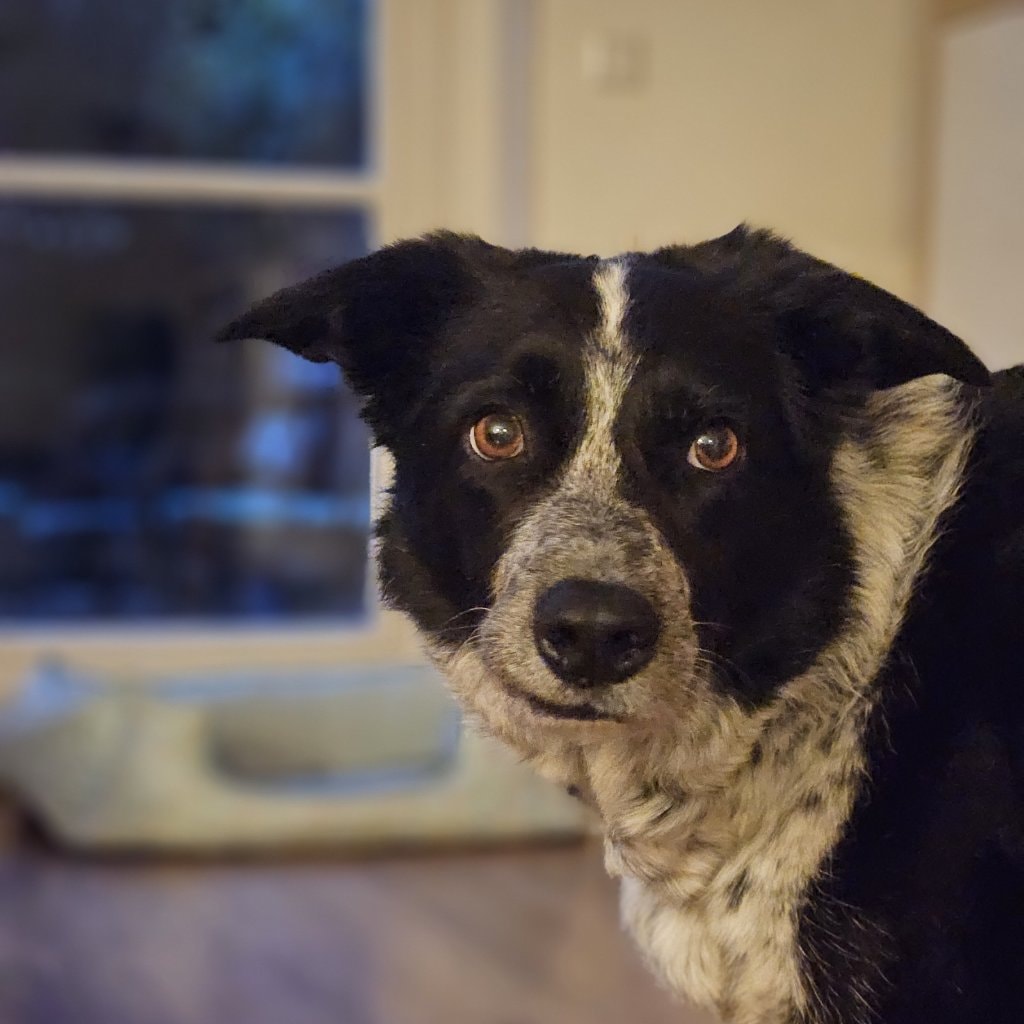 Luna