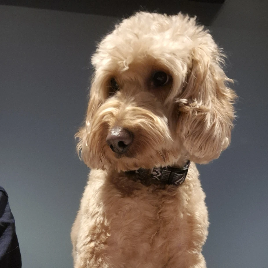 Ted