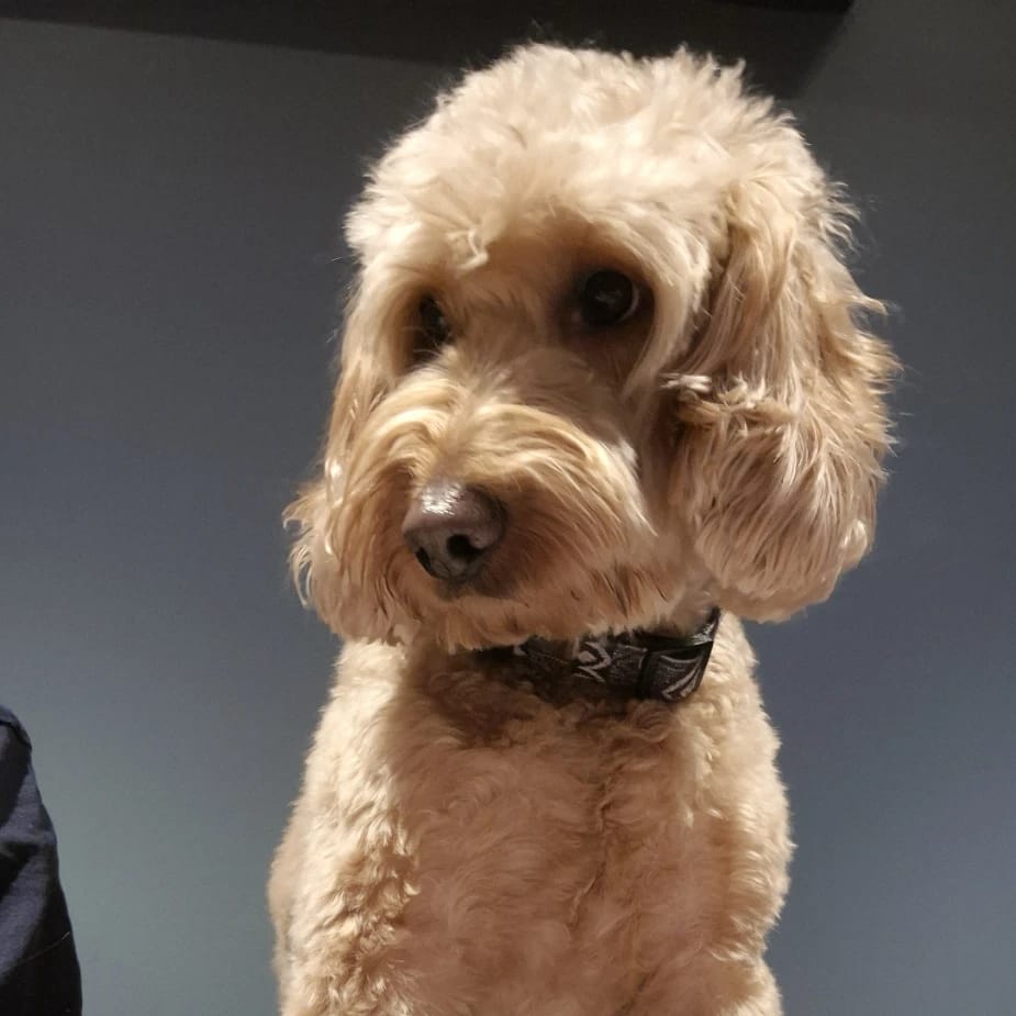 Ted