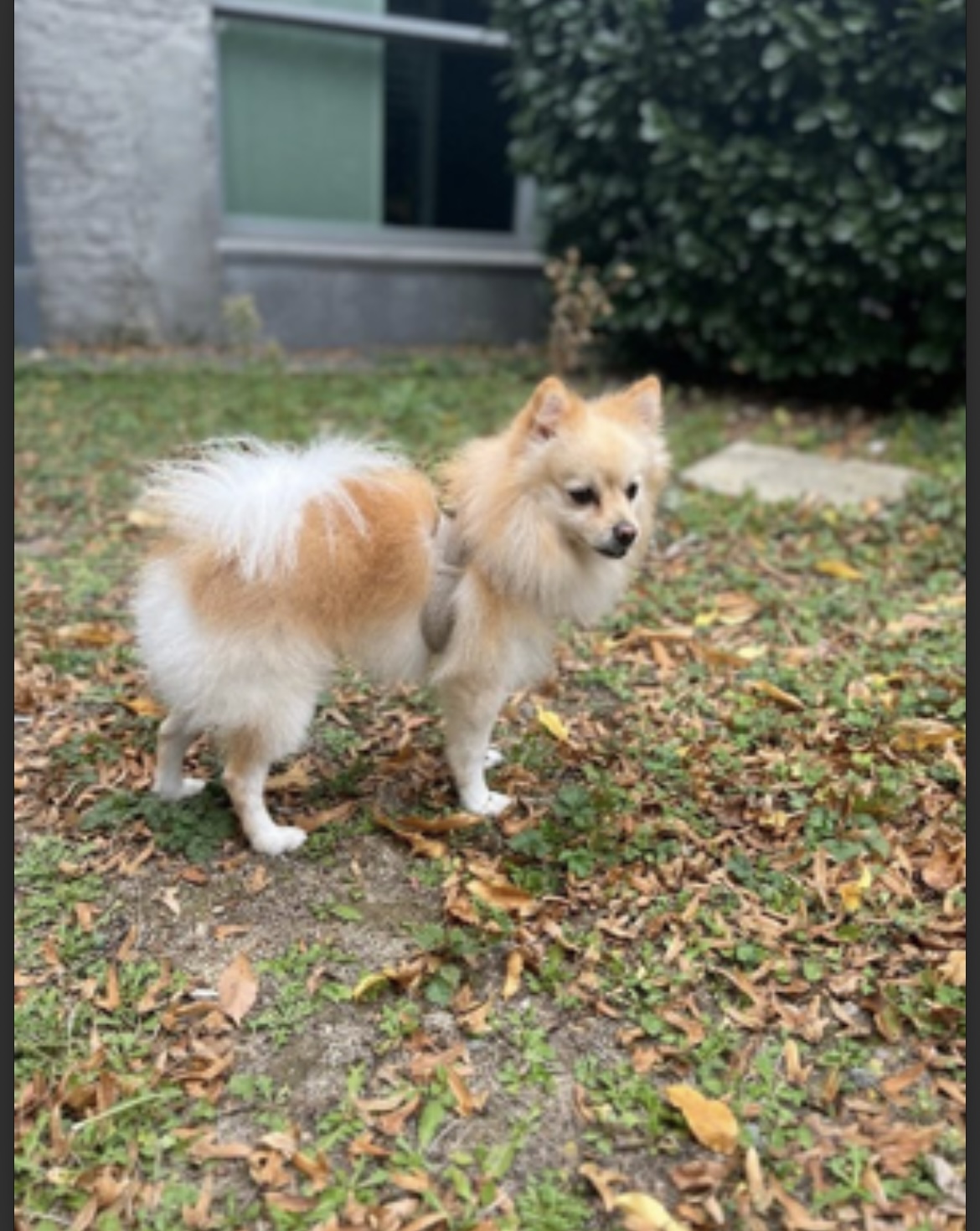 image-17