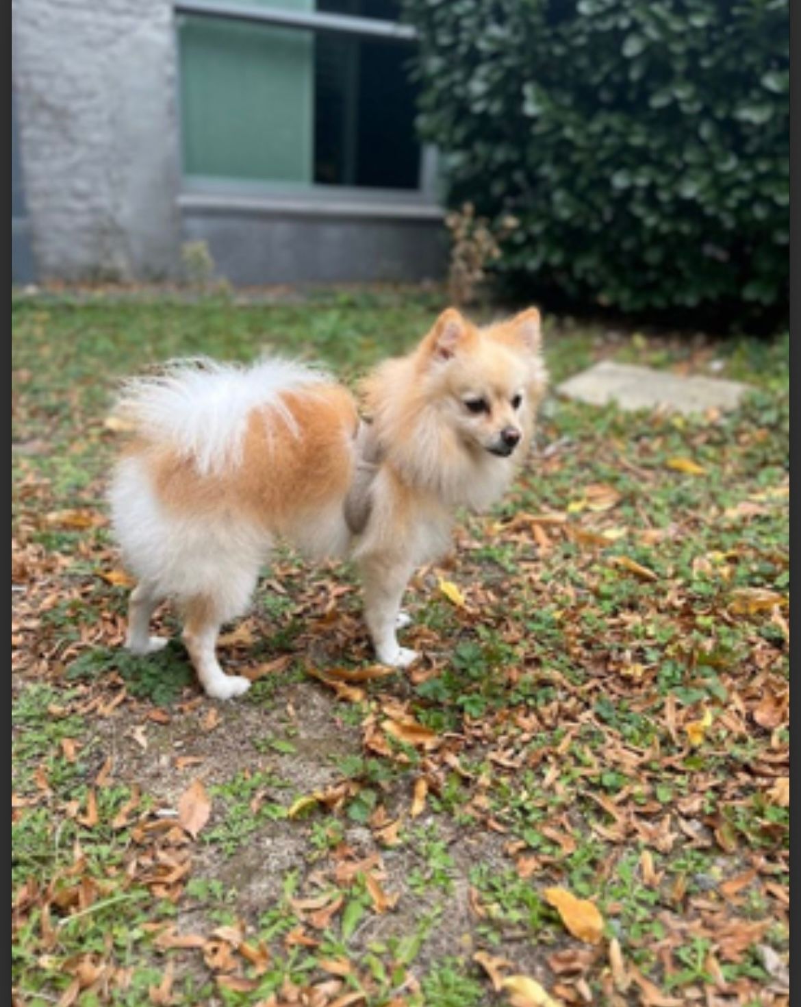 image-17