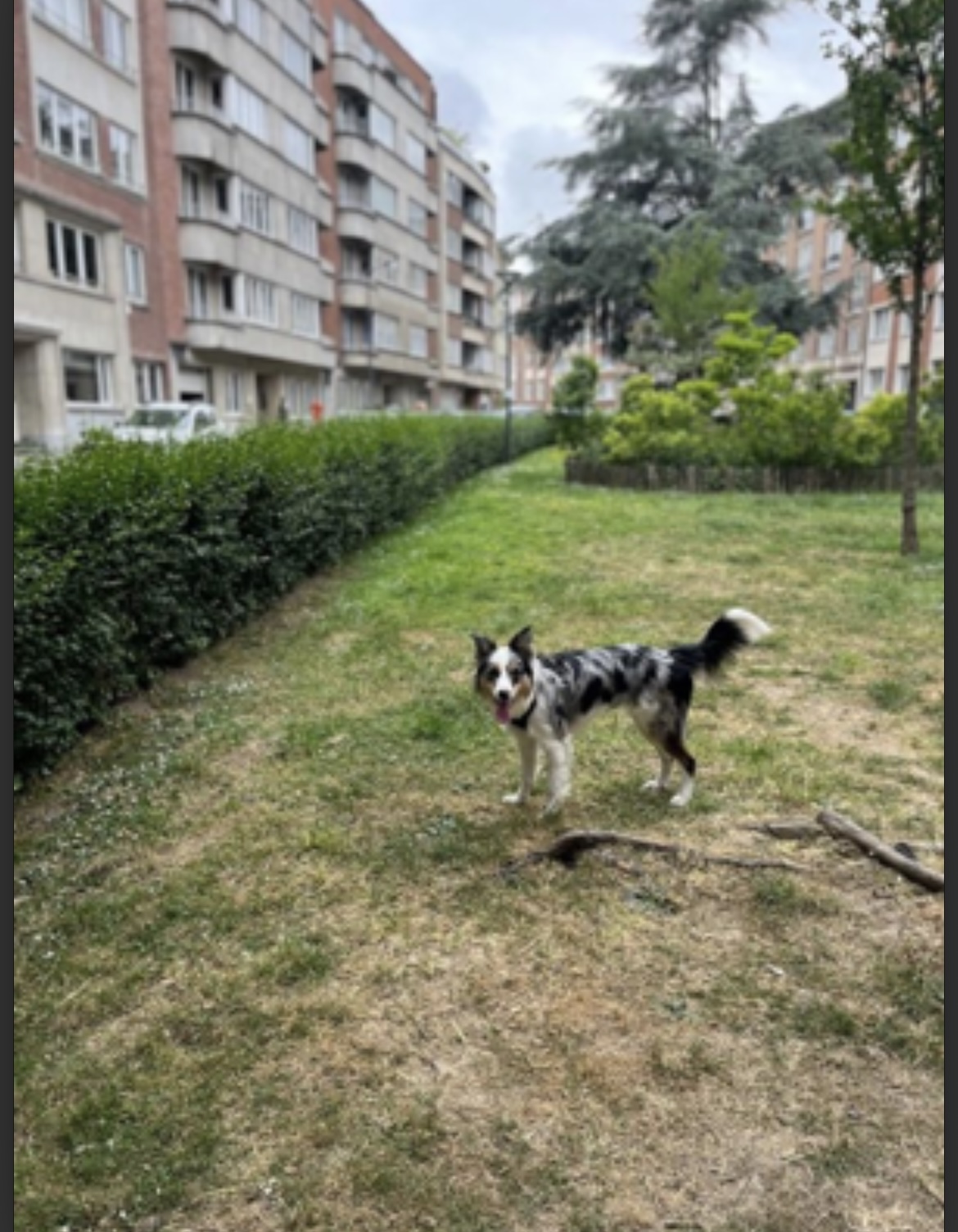 image-15