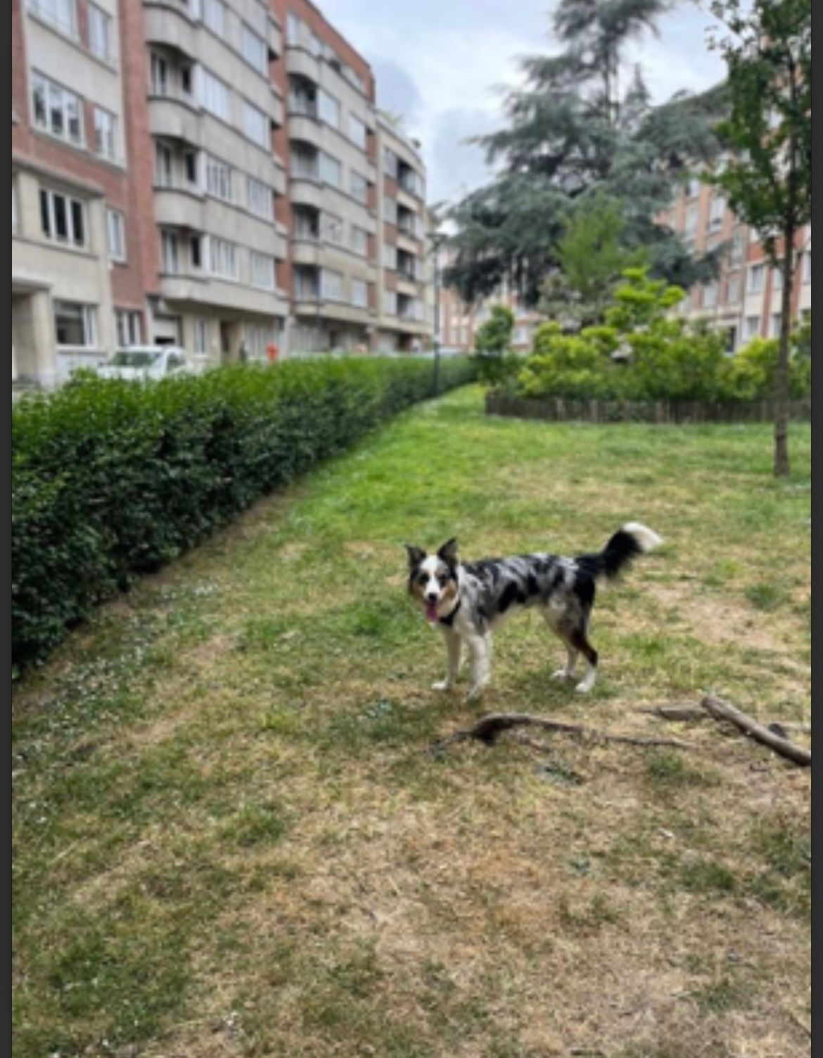 image-15