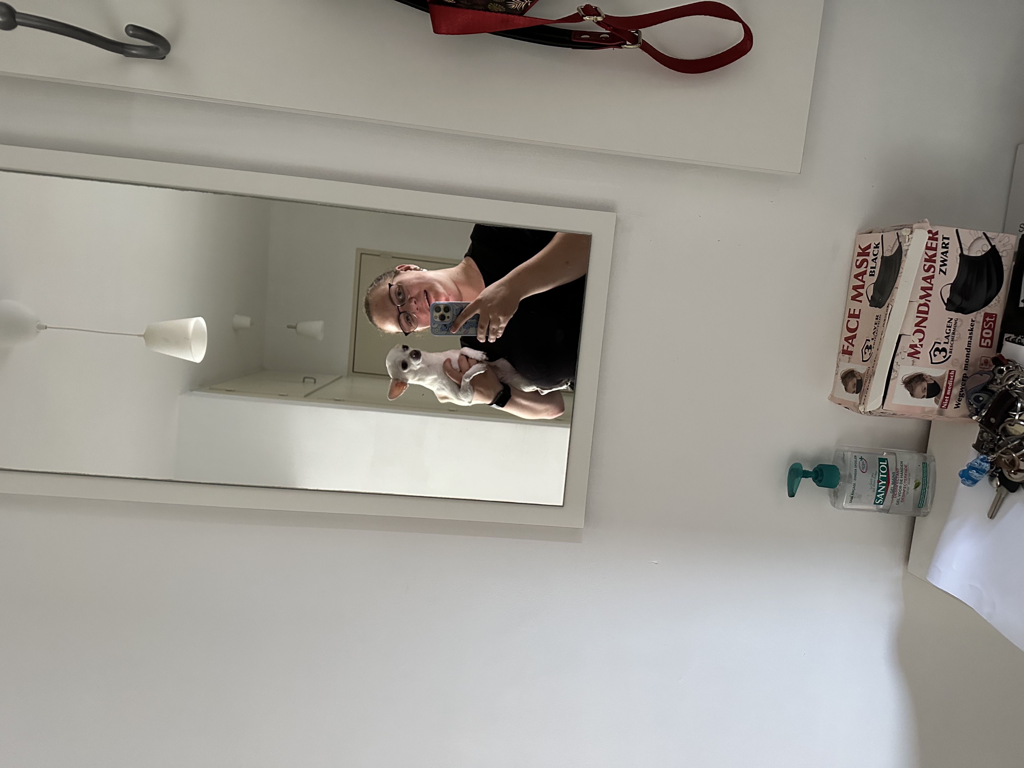 image-7