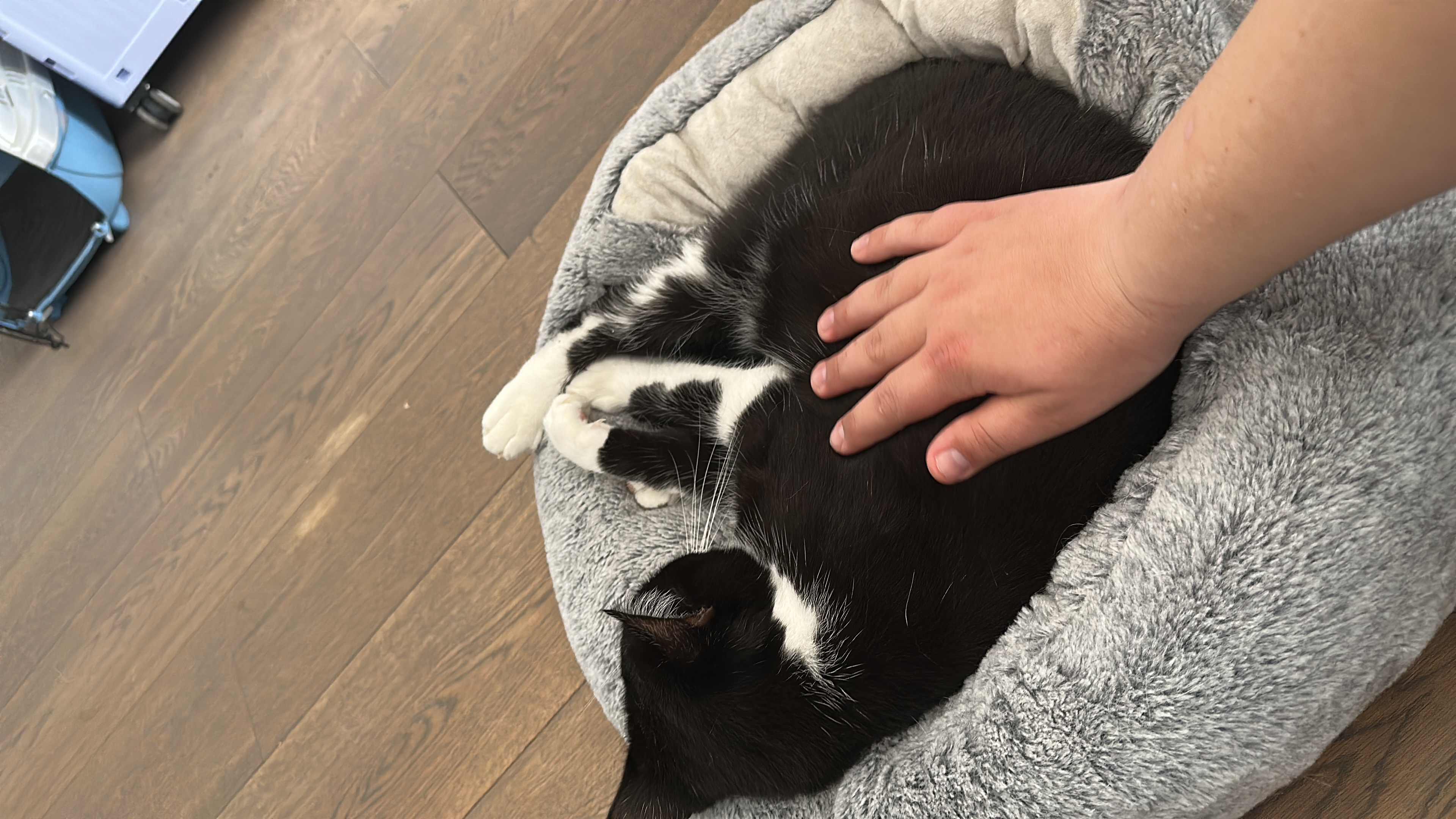 image-6