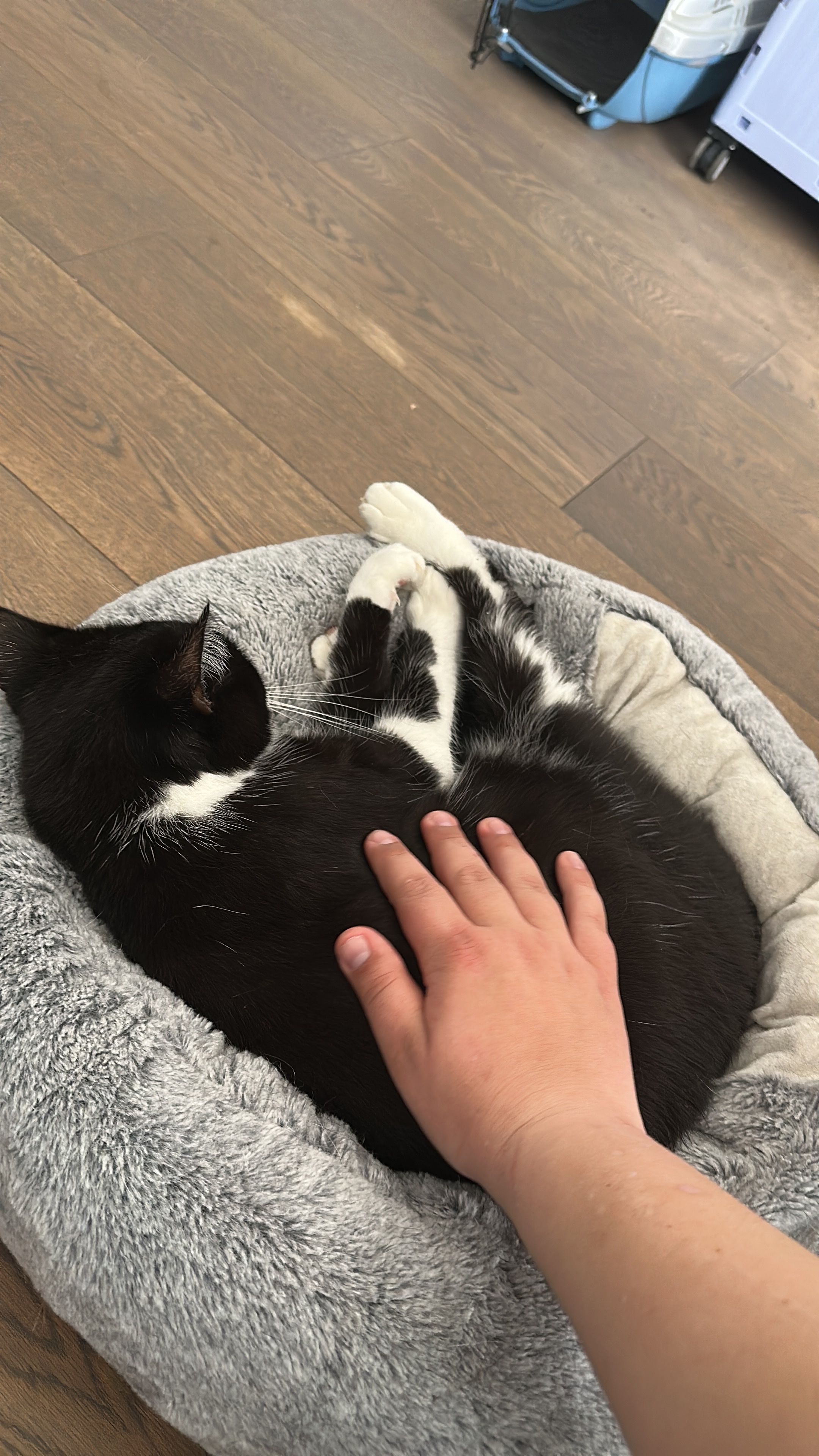 image-6