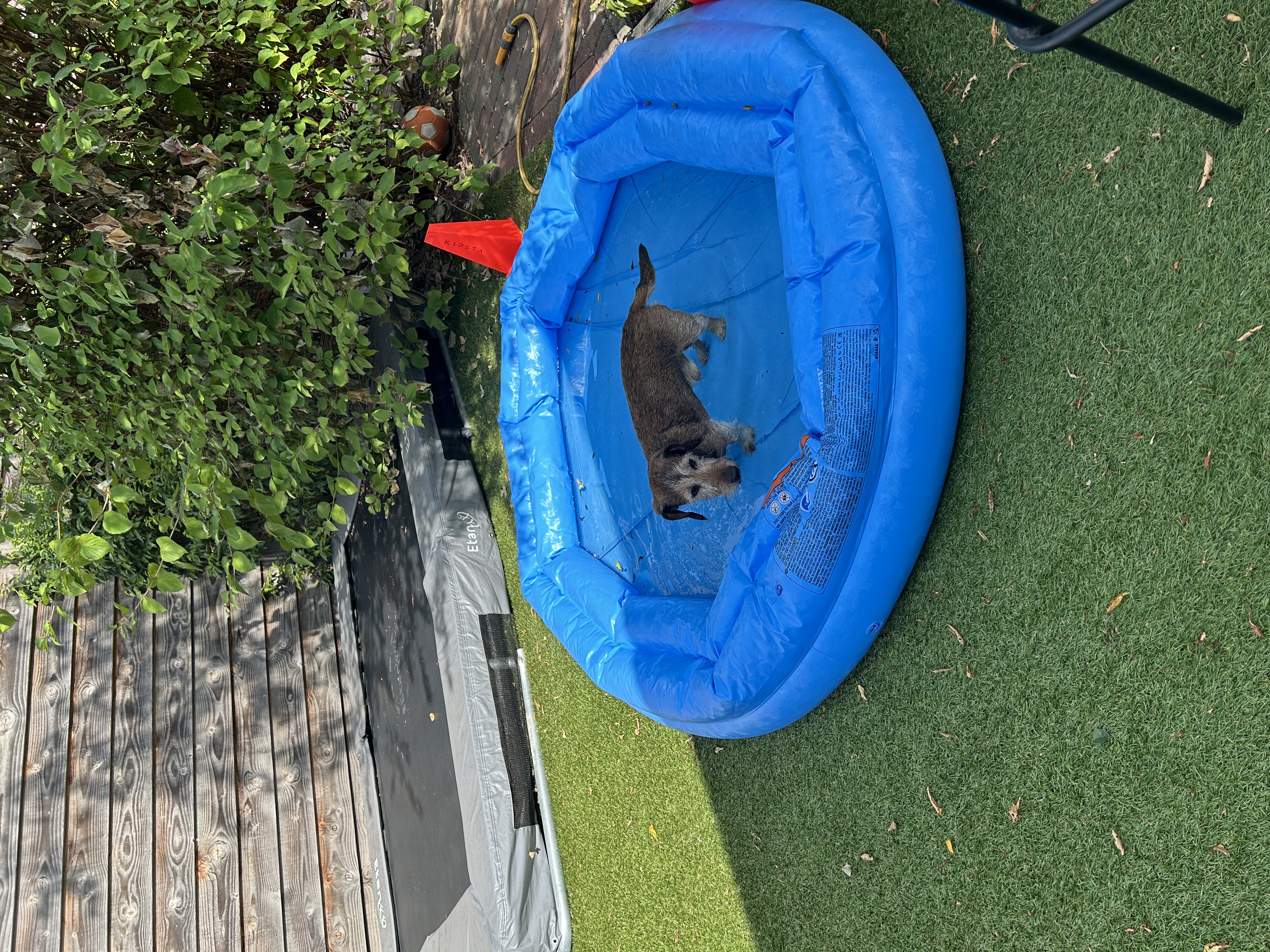 image-16