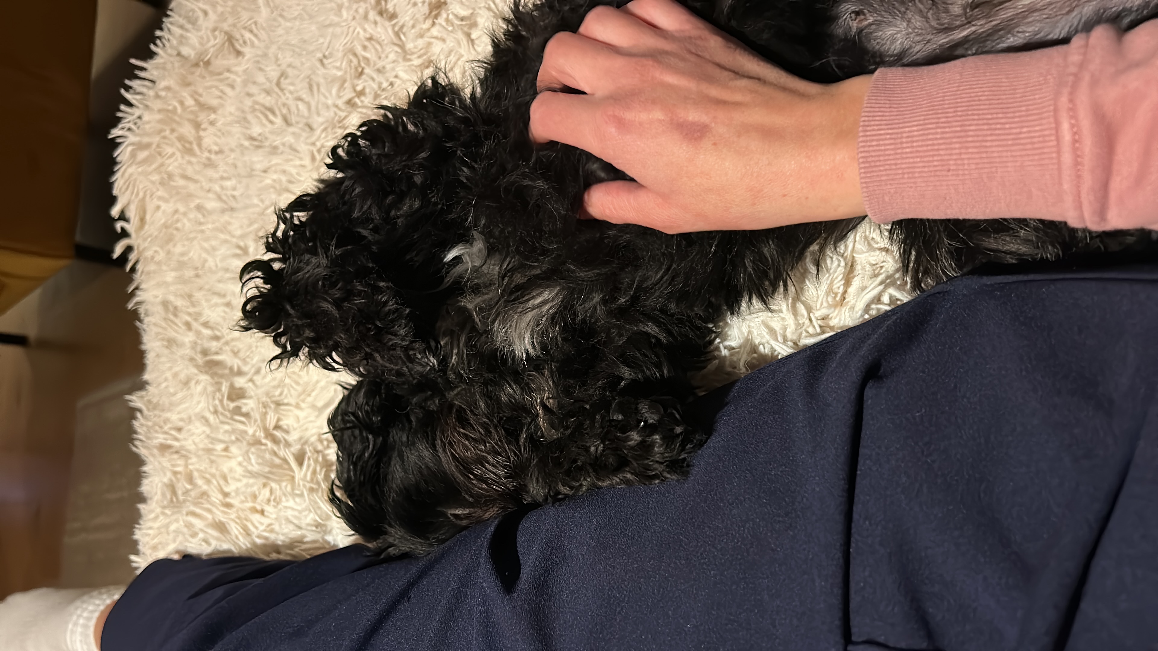 image-10