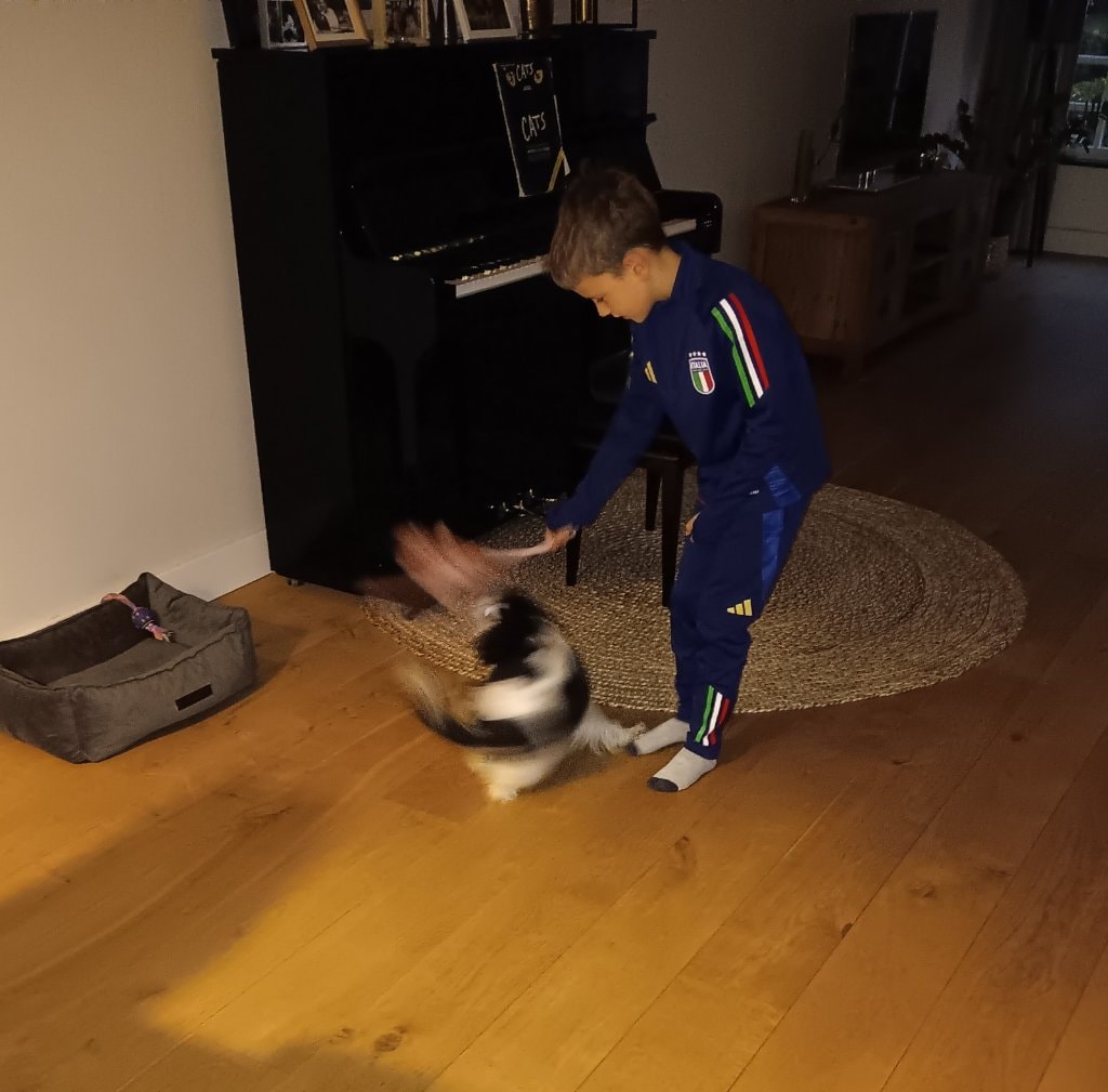 image-5