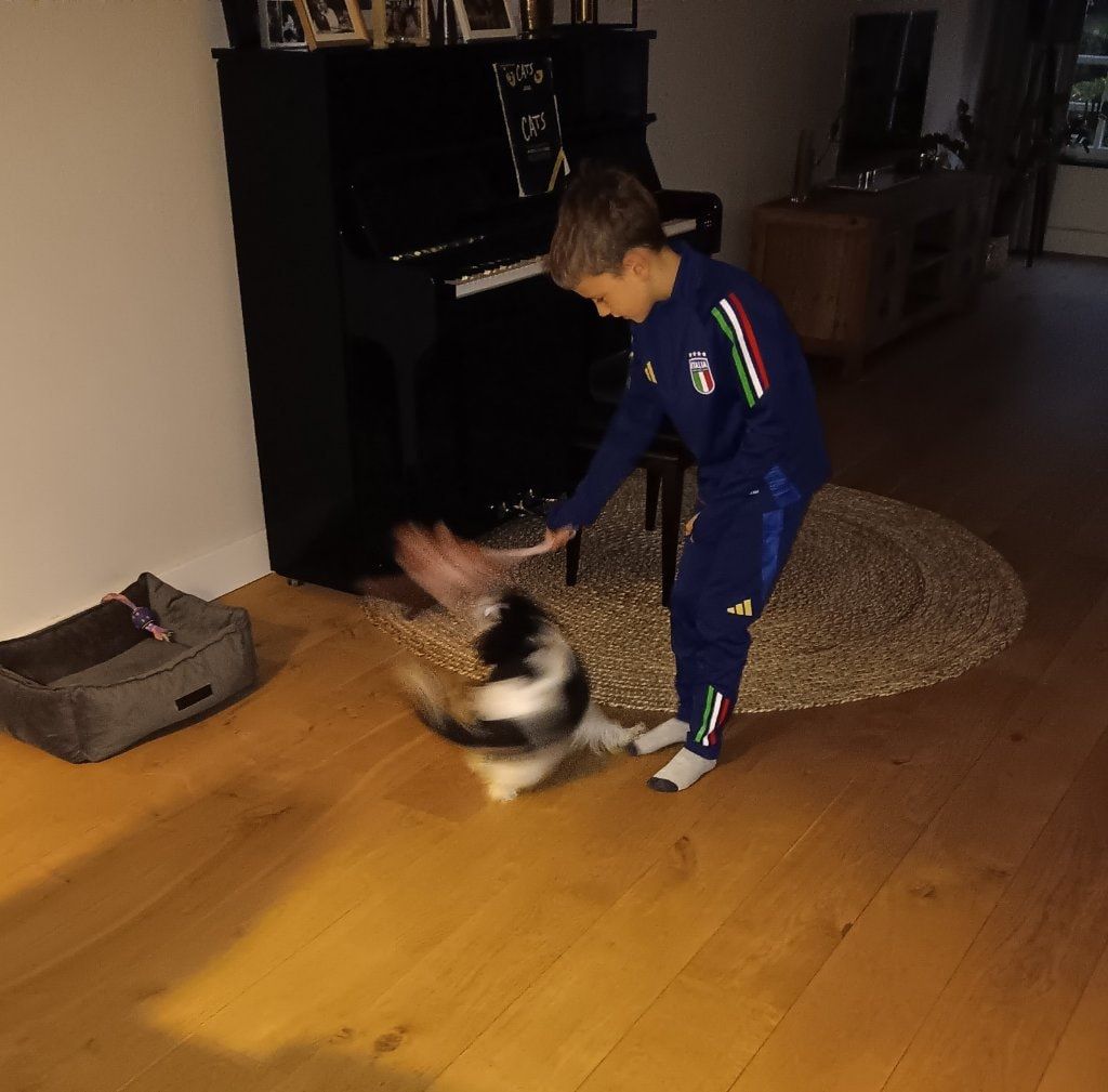image-5