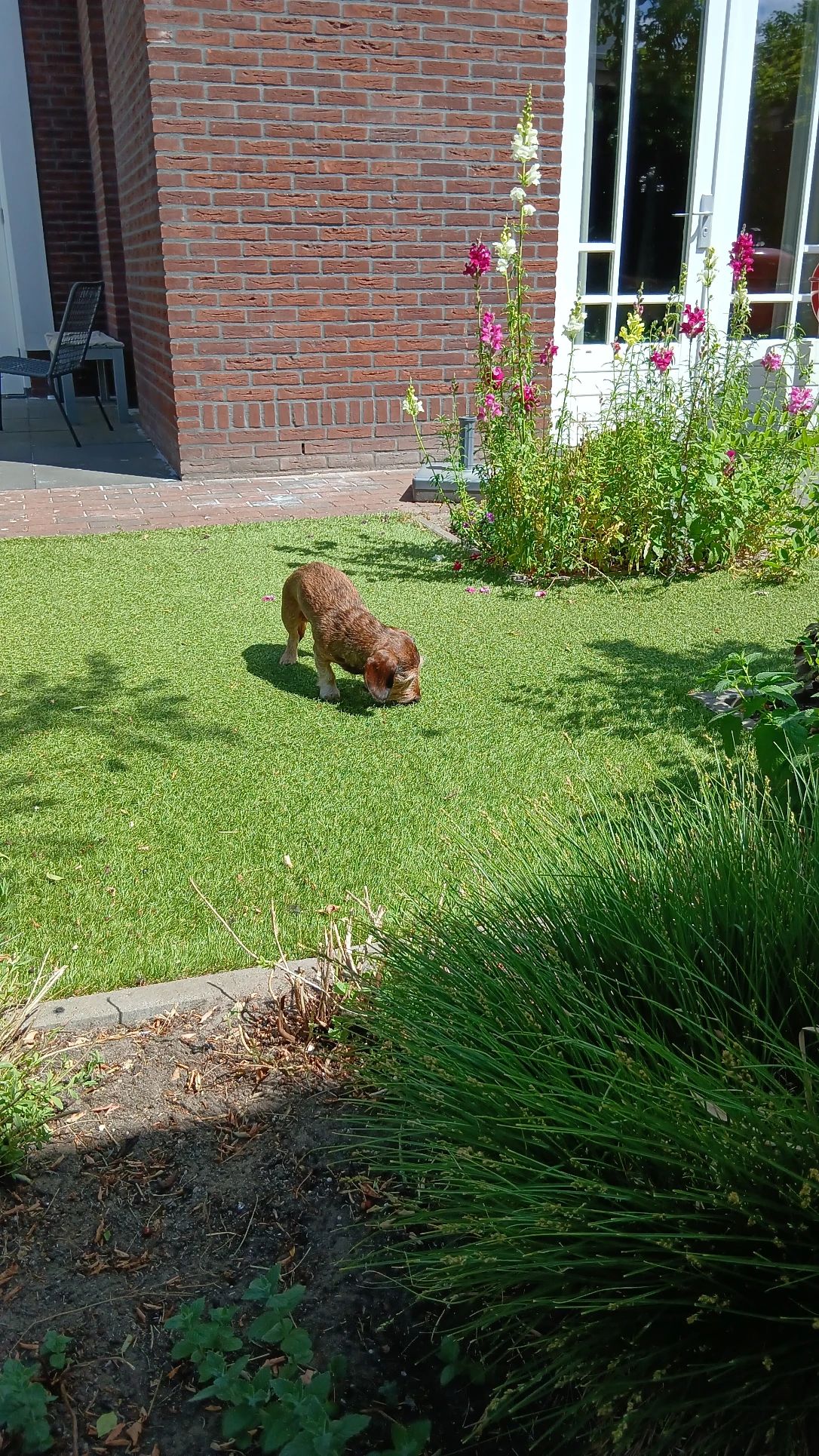image-14