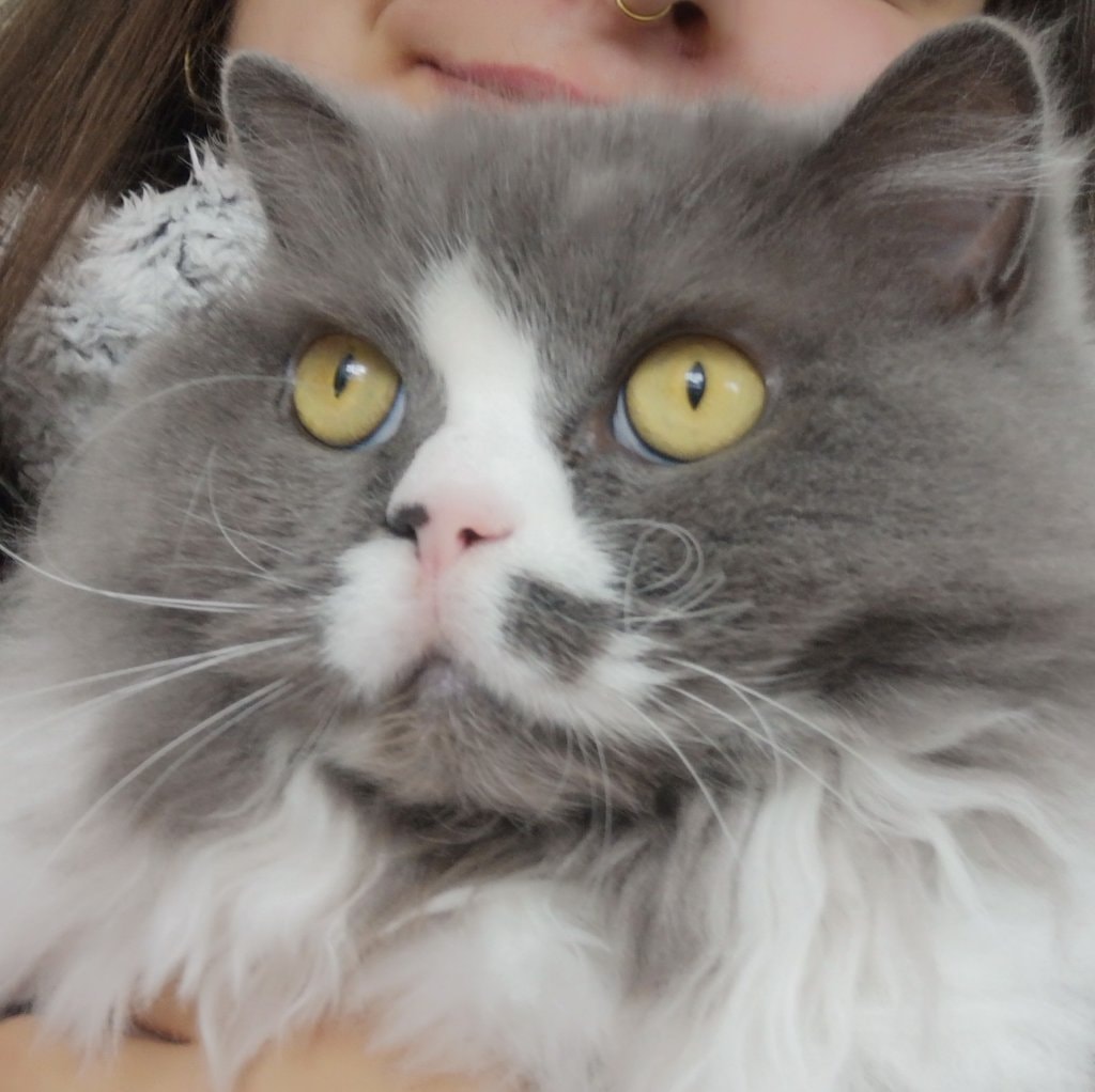 Milou