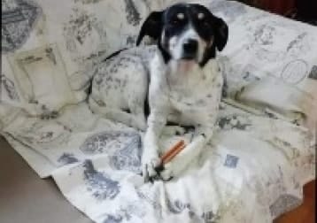 Milly