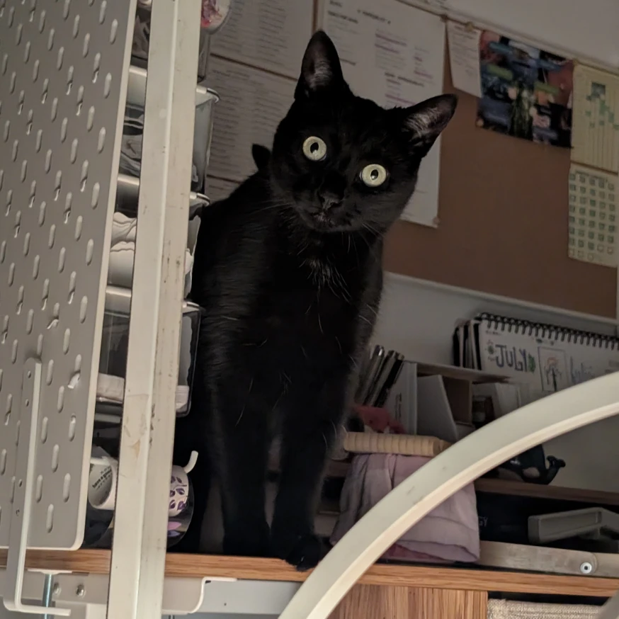 Luna 