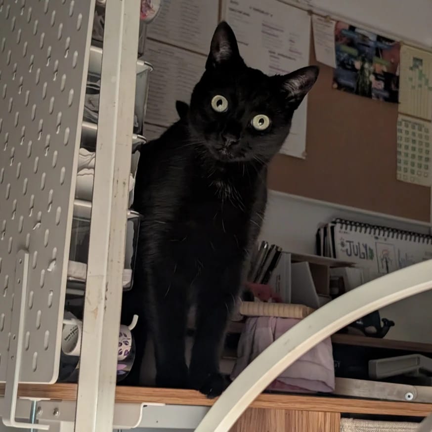 Luna