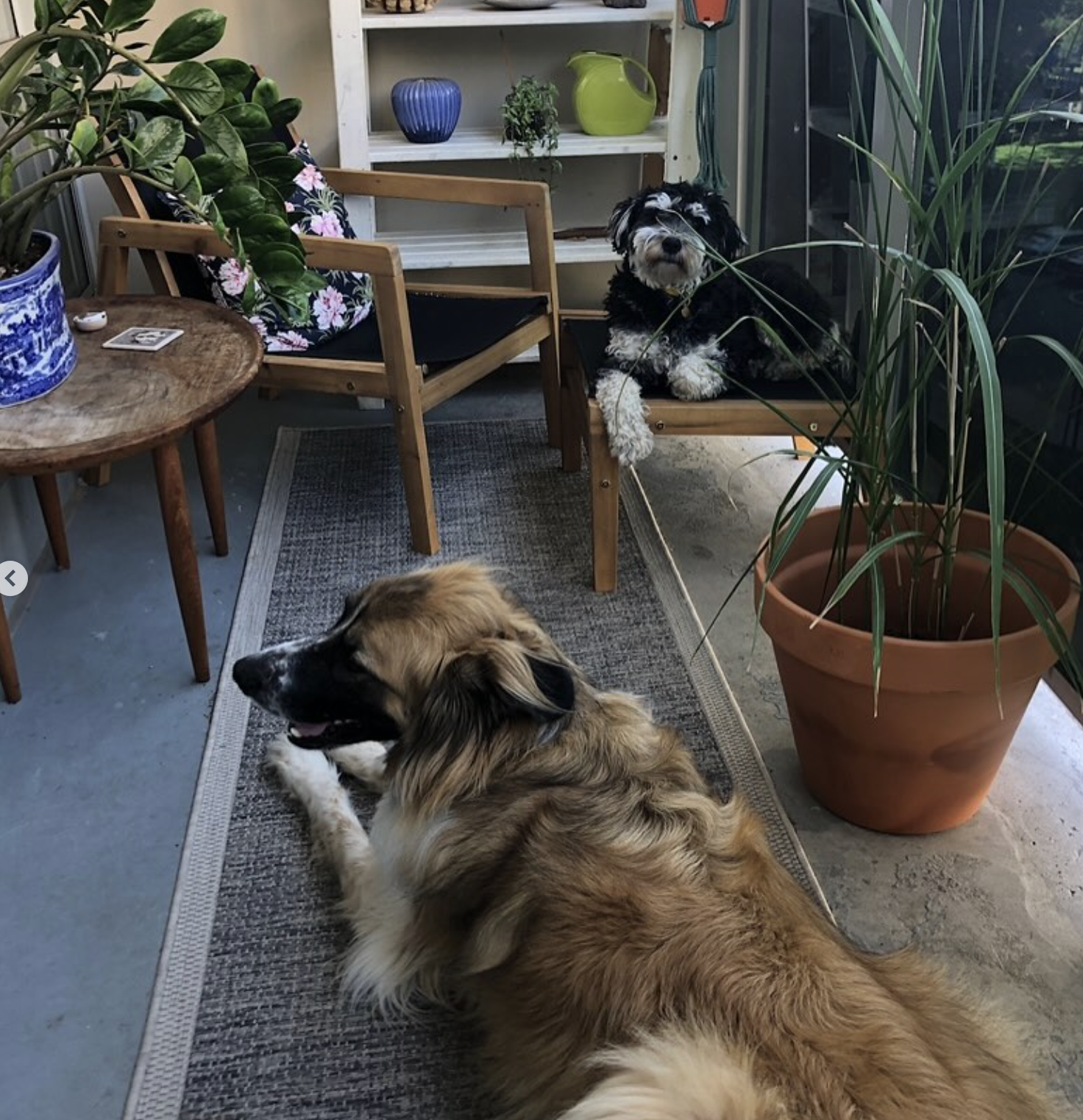 image-7
