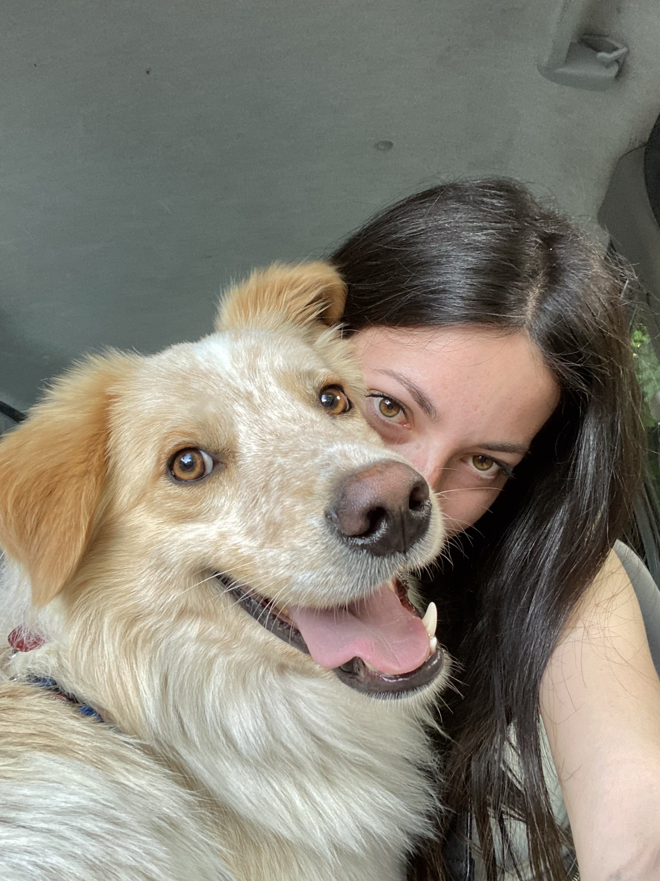 image-0