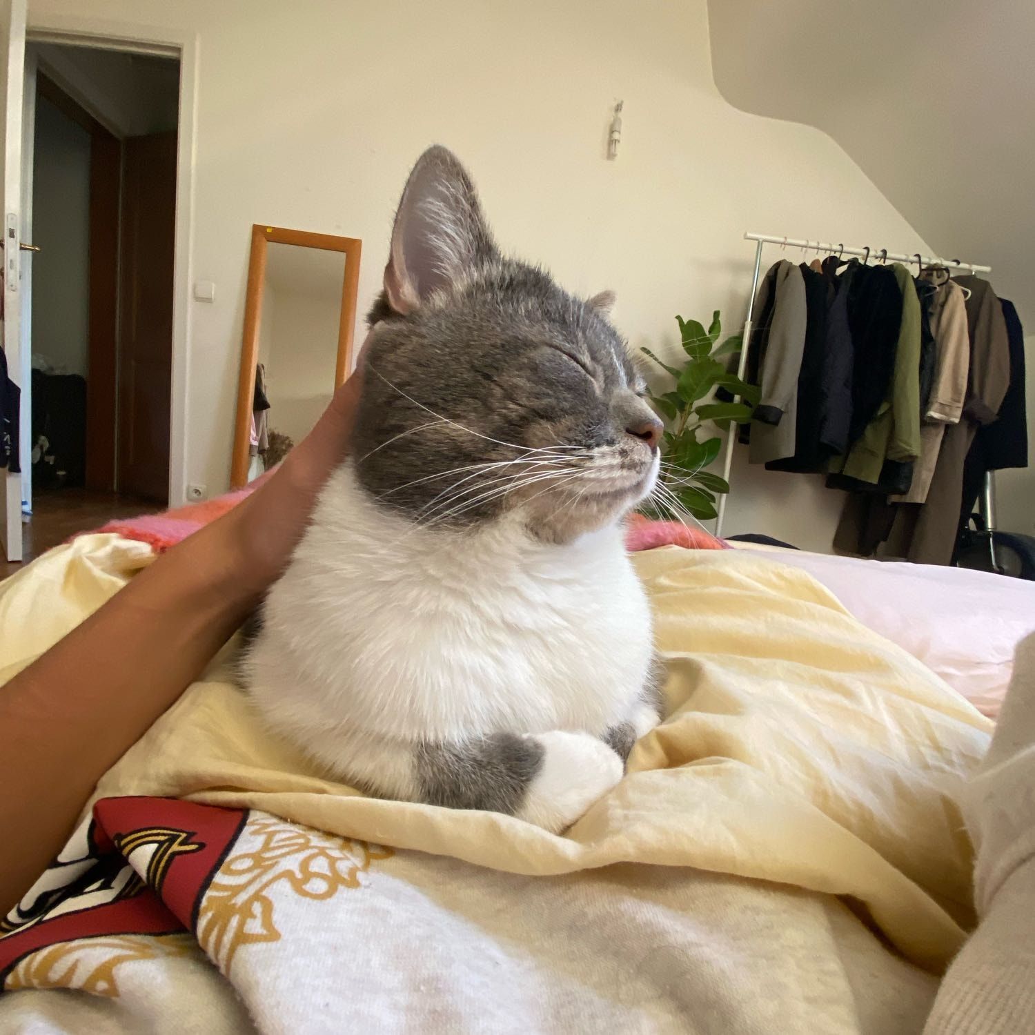 Gus