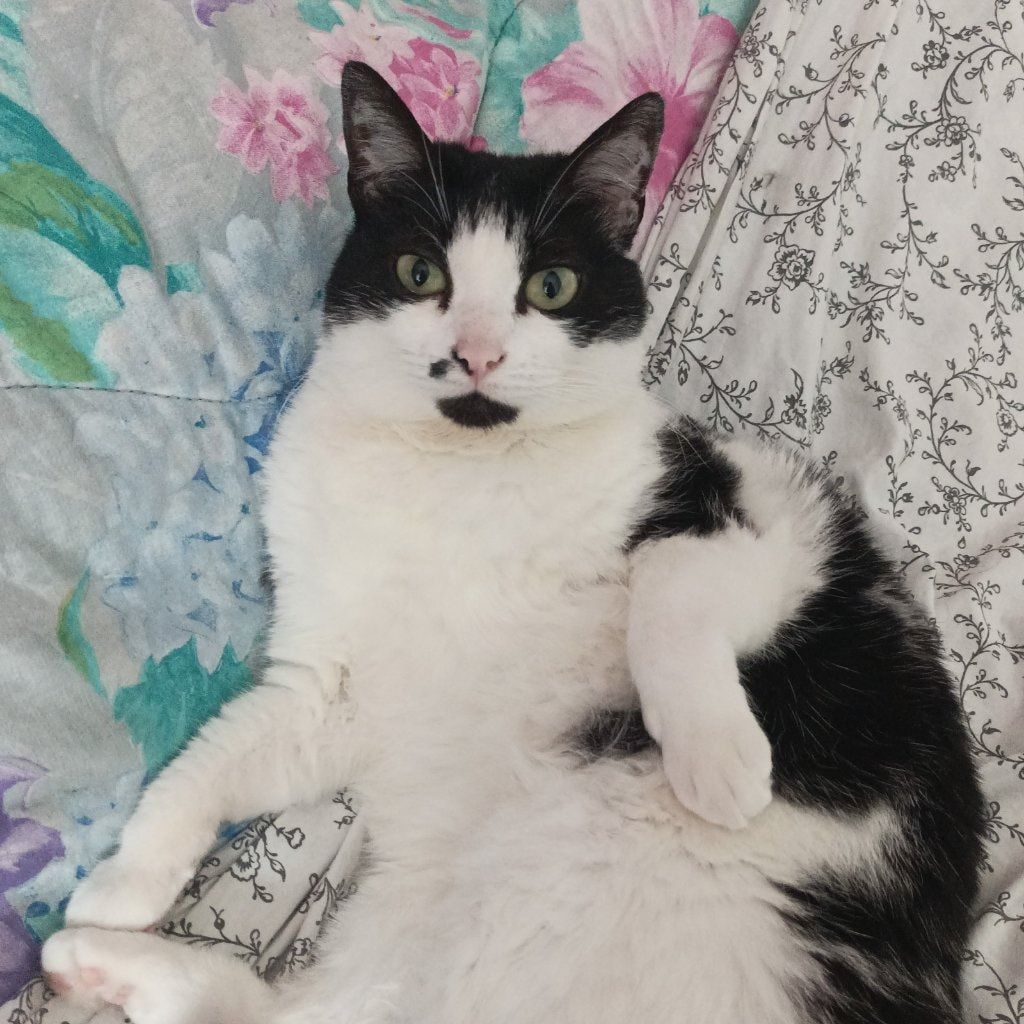 Sophie