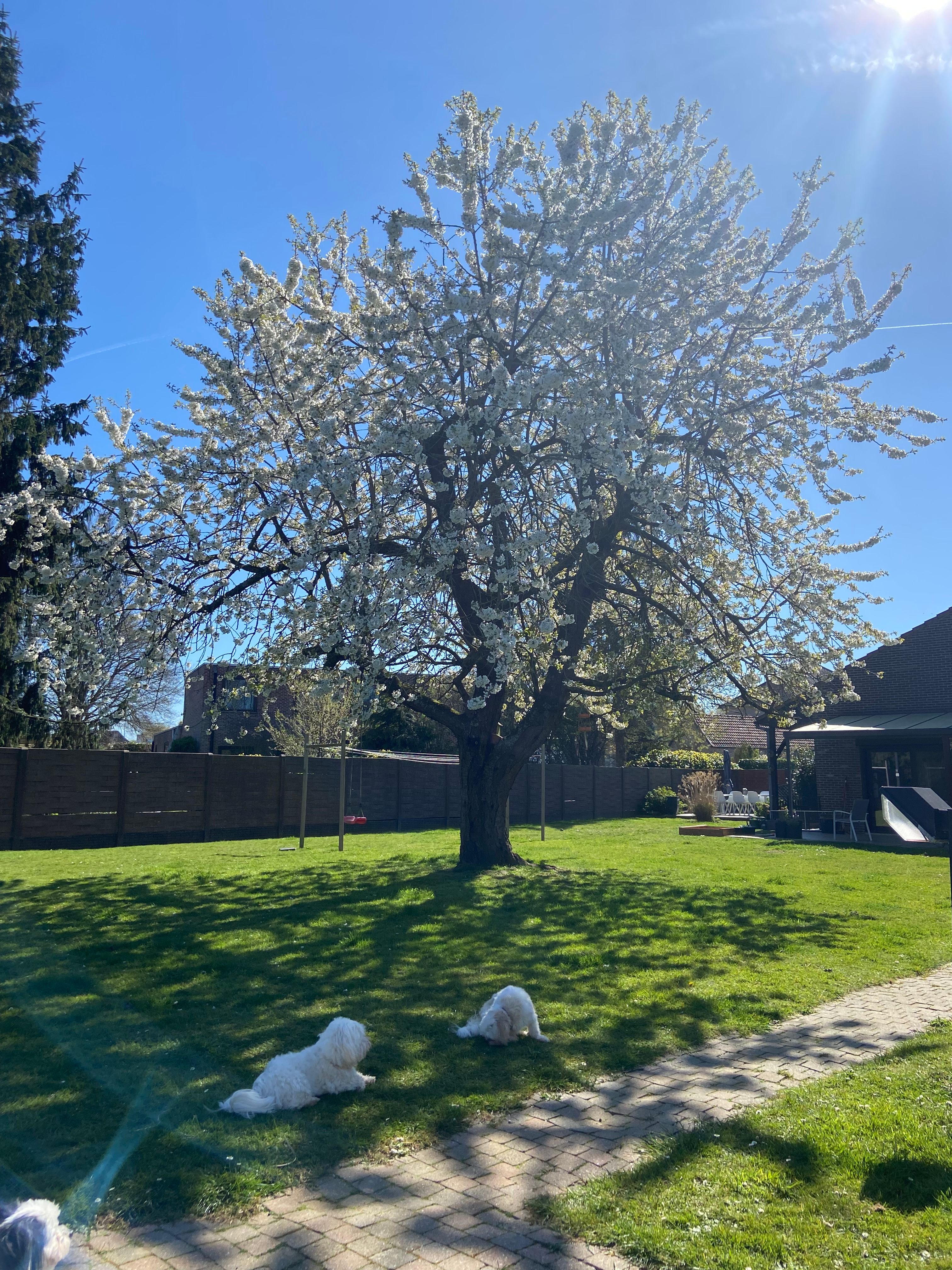 image-25