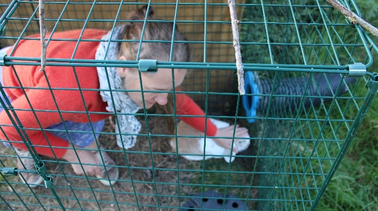 image-3