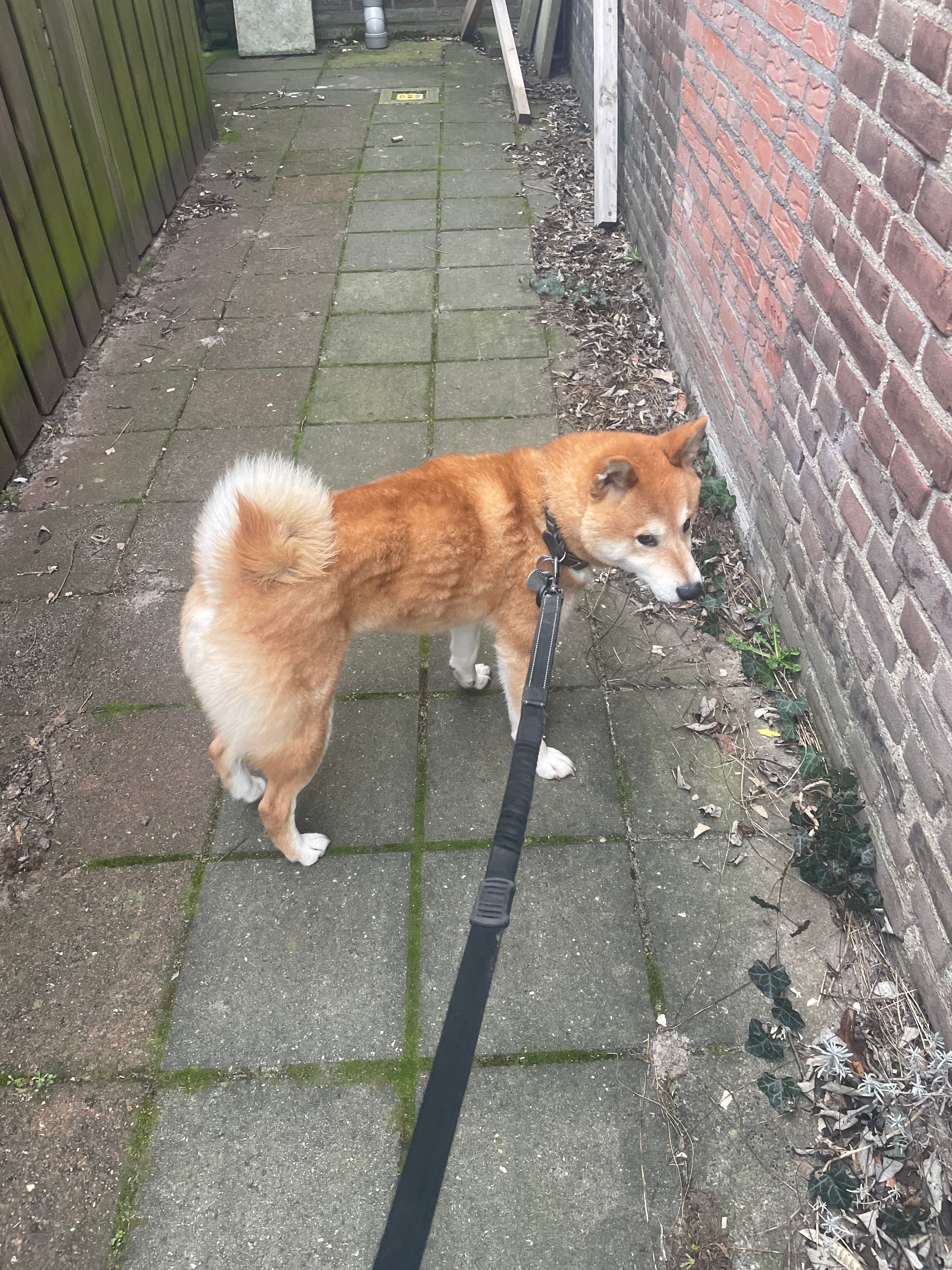 image-29