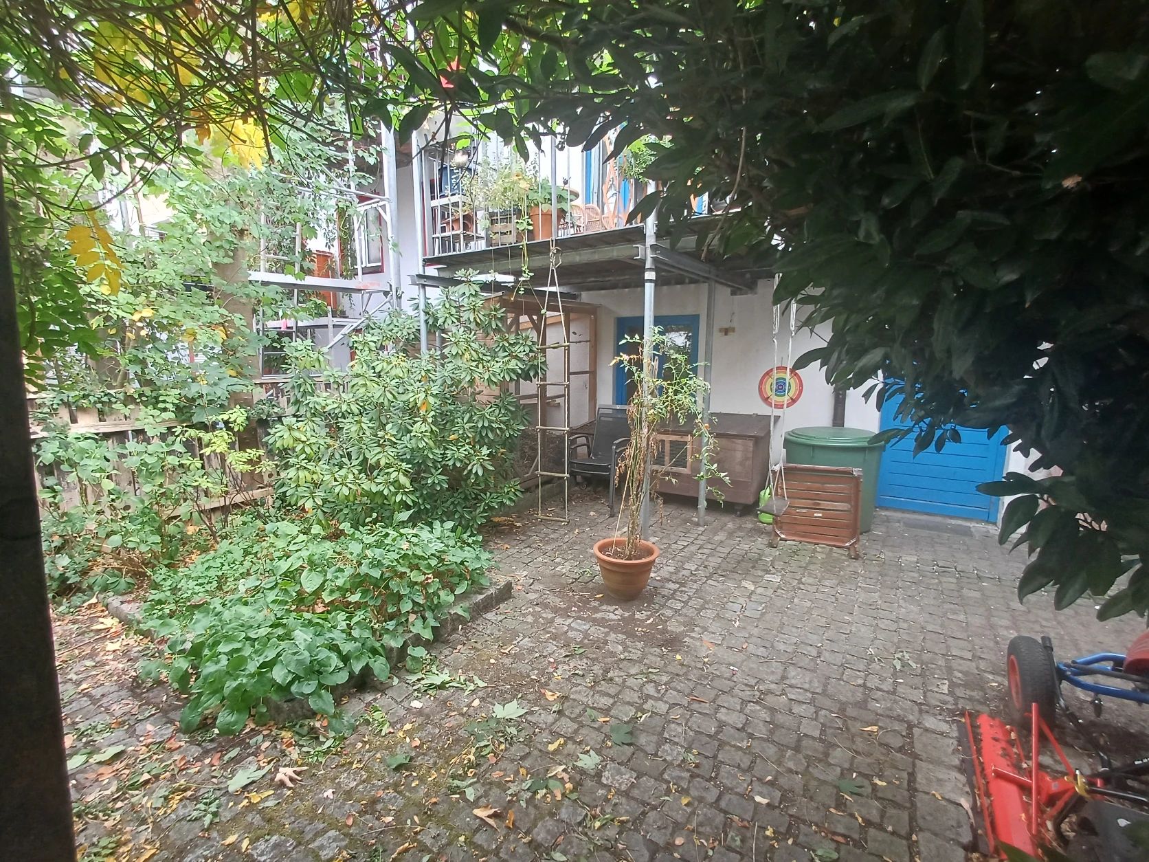 image-7