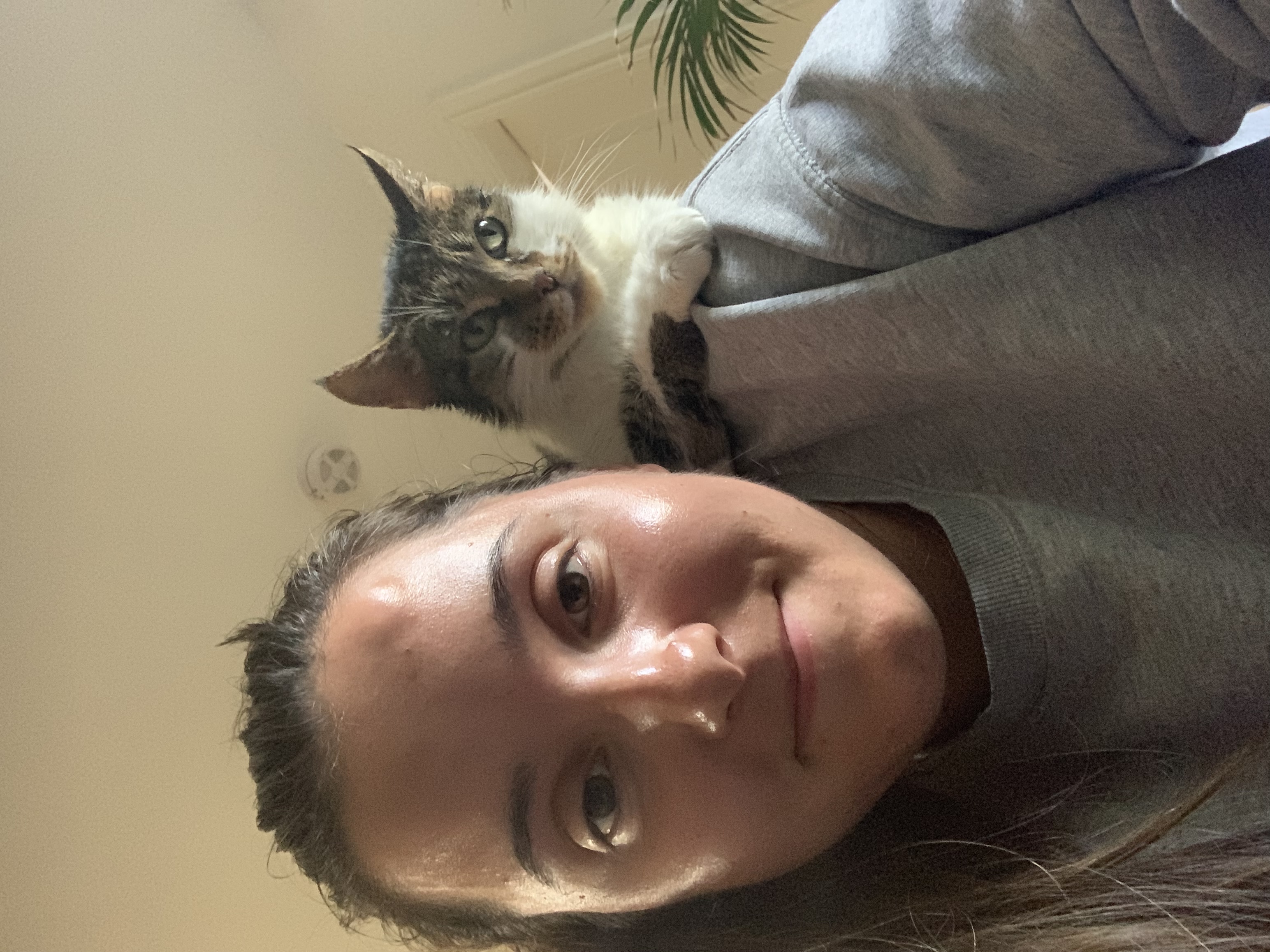 image-14